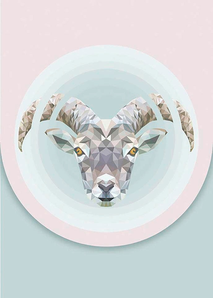 Komar Bild »Capricorn«, Tiere, (1 St.), Wandbild zur Dekoration - ohne Rahmen