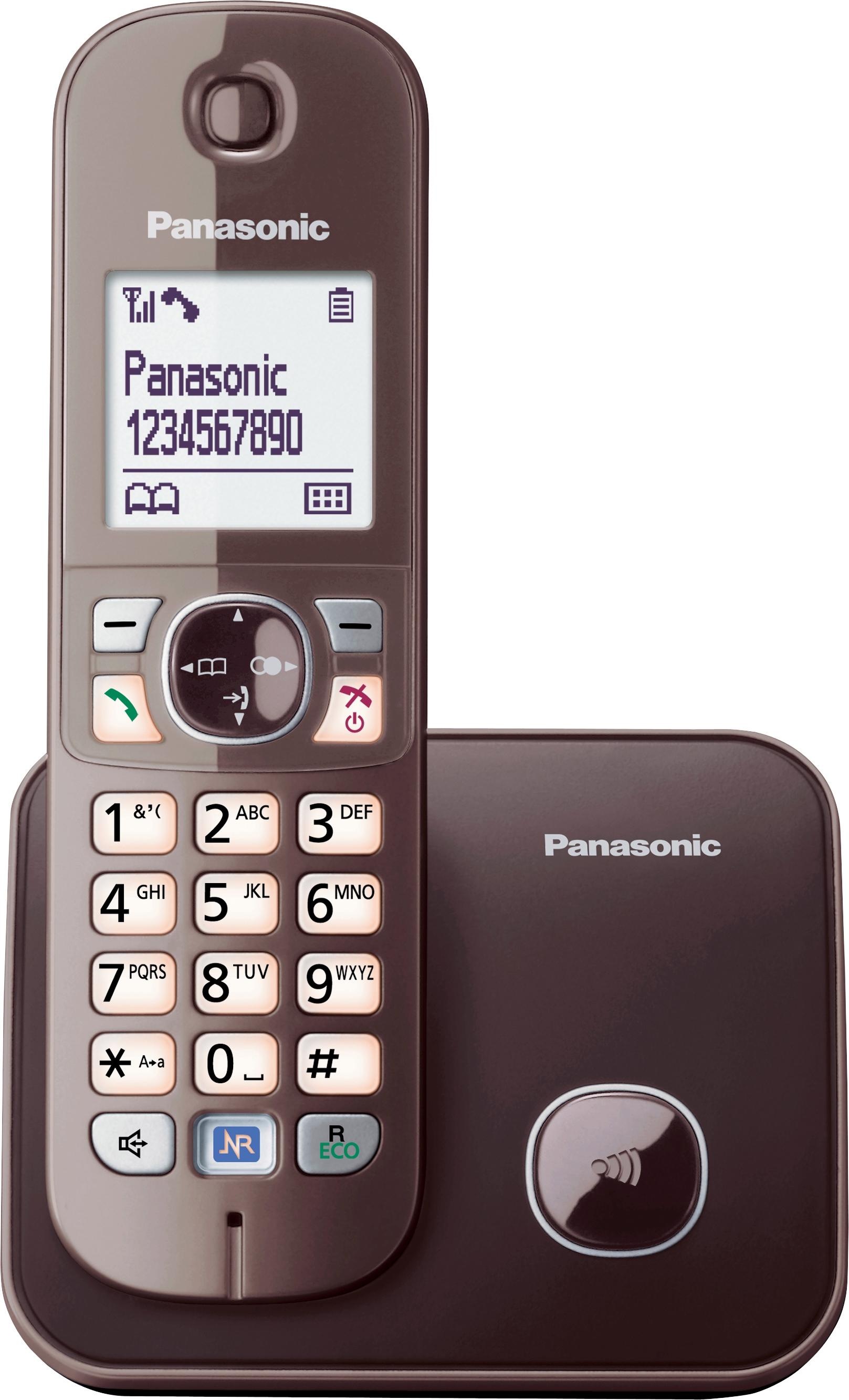 Schnurloses DECT-Telefon »KX-TG6811GS«, (Mobilteile: 1), mit Anrufer- und Wahlsperre