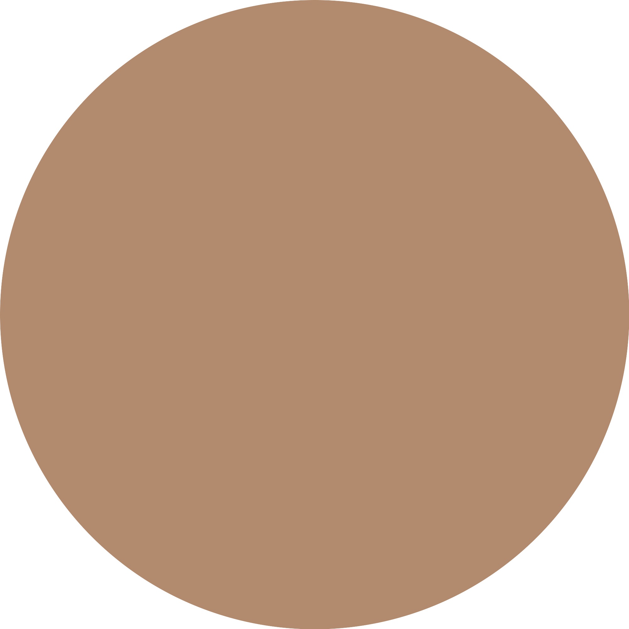 Catrice Foundation »Invisible Cover Foundation«, (Set, 3 tlg.), mit langanhaltendem Finish