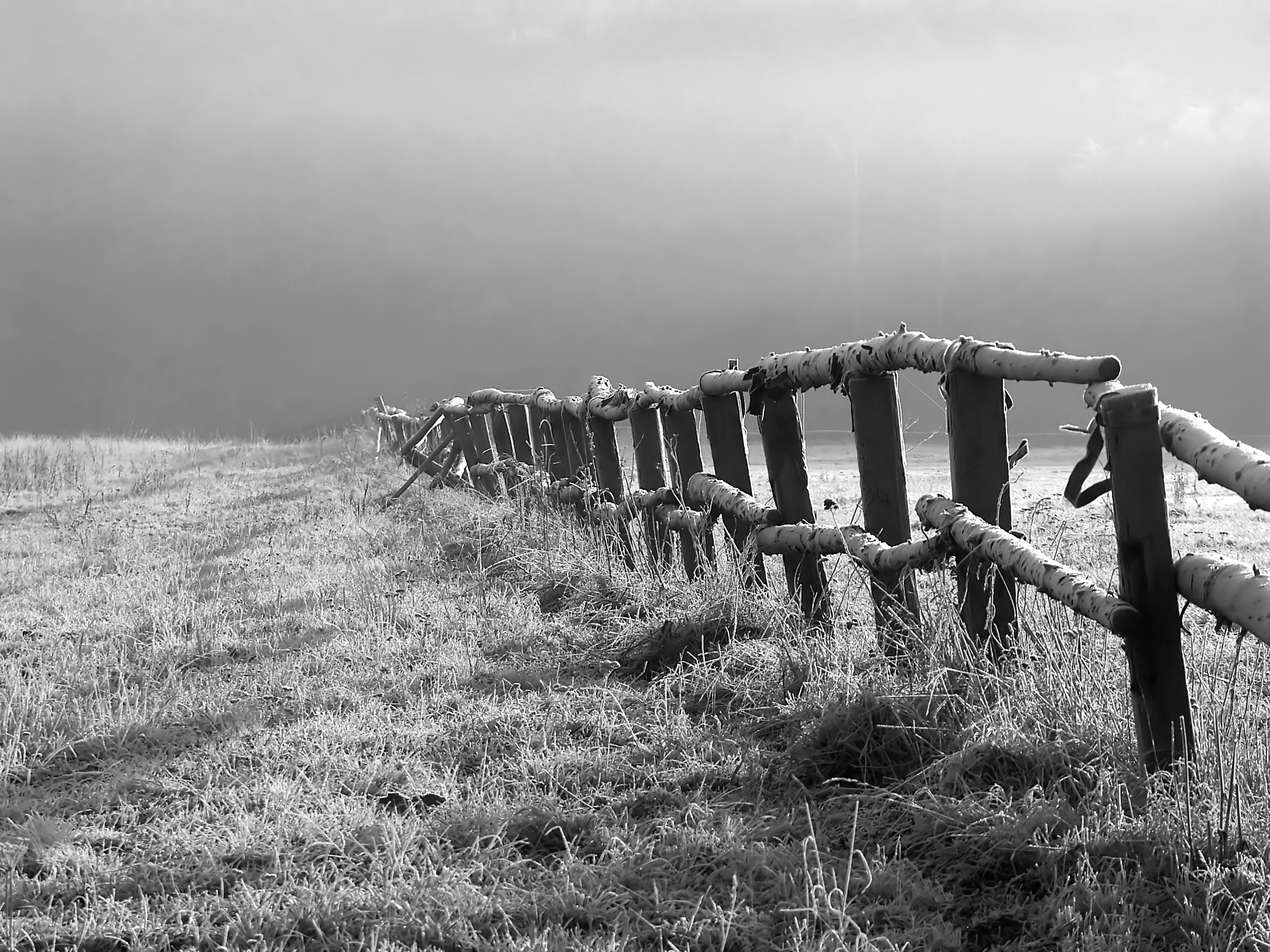 Papermoon Fototapete "Feld Schwarz & Weiß"