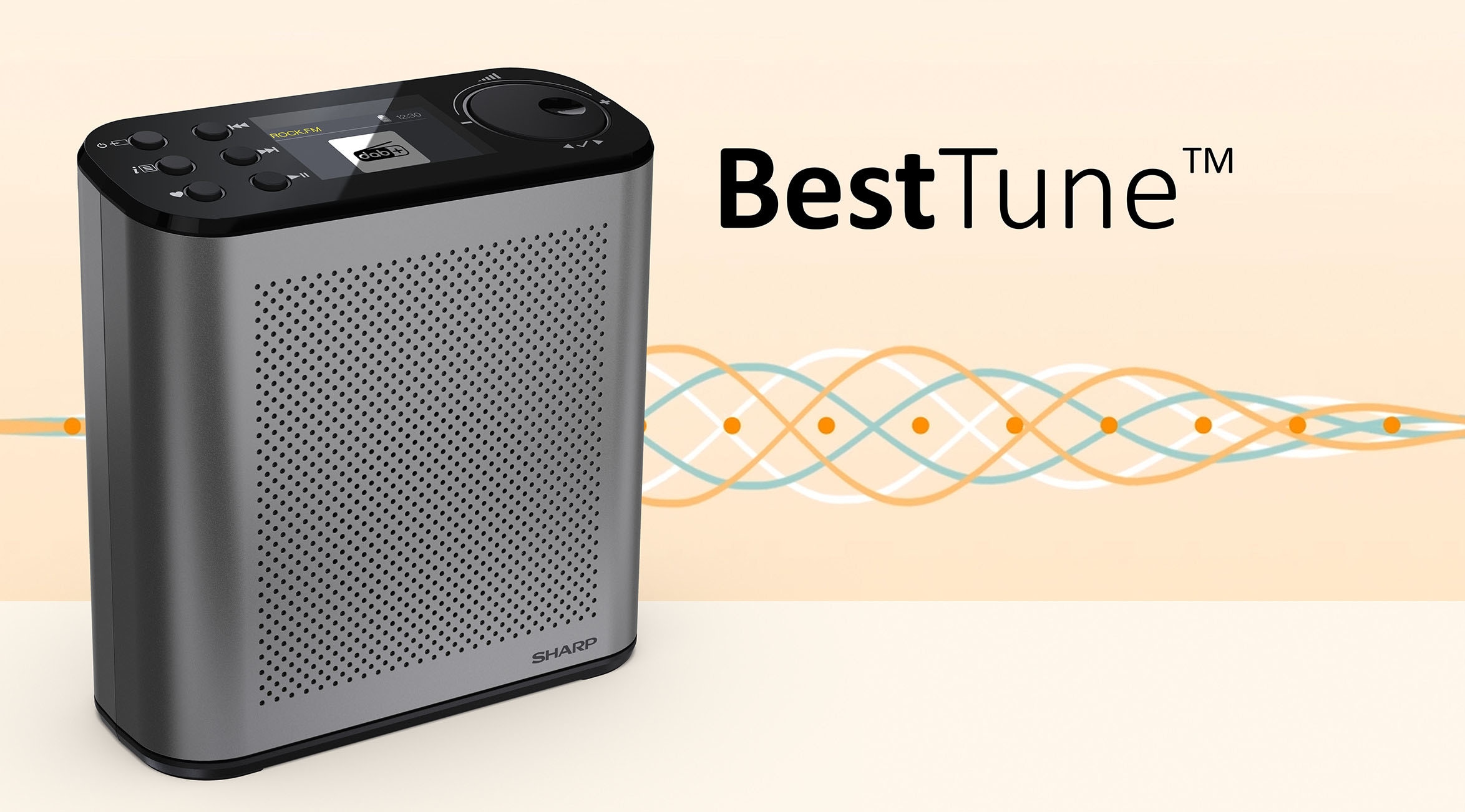 Sharp Digitalradio (DAB+) »DR-P530(GY)« (Bluetooth Digitalradio (DAB+) | UKW mit RDS )