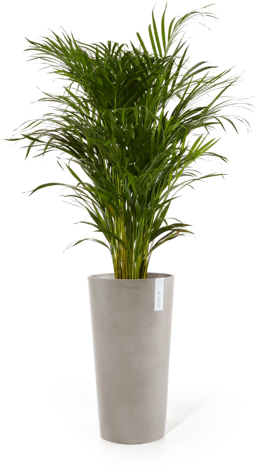 ECOPOTS Blumentopf »AMSTERDAM HIGH Taupe« BxTxH: 41x41x76 cm