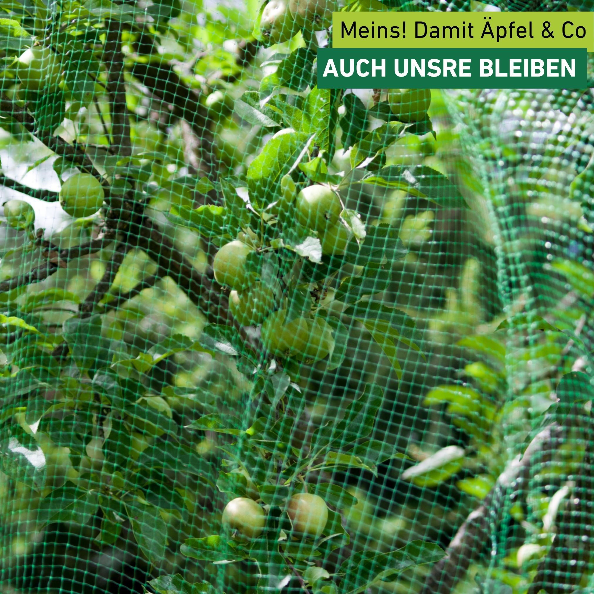 Windhager Schutznetz »für Obstbäume und Sträucher, Vogelschutz-Netz Ortonet« Maschenweite 13 mm, erhältlich in unterschiedlichen Größen