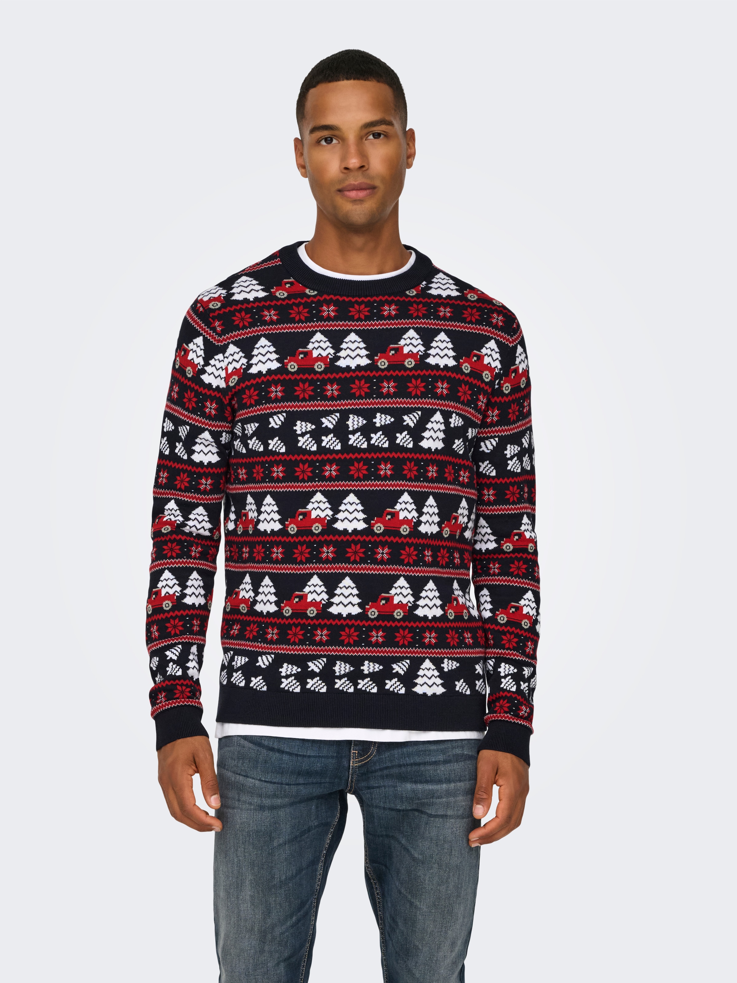 ONLY & SONS Rundhalspullover "ONSXMAS REG 5 JAQ CREW KNIT" günstig online kaufen