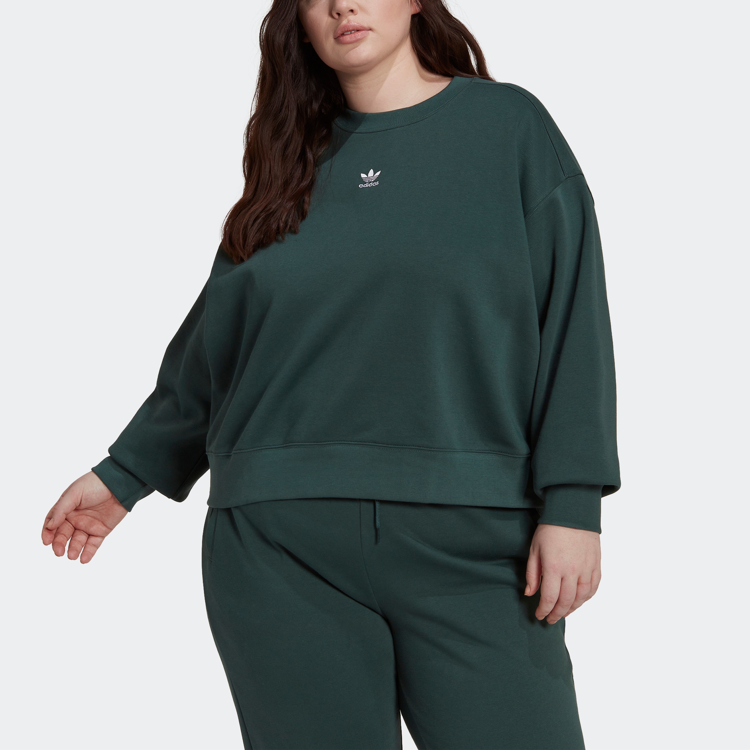 adidas Originals Sweatshirt »ADICOLOR ESSENTIALS – GROSSE GRÖSSEN« für  bestellen | BAUR
