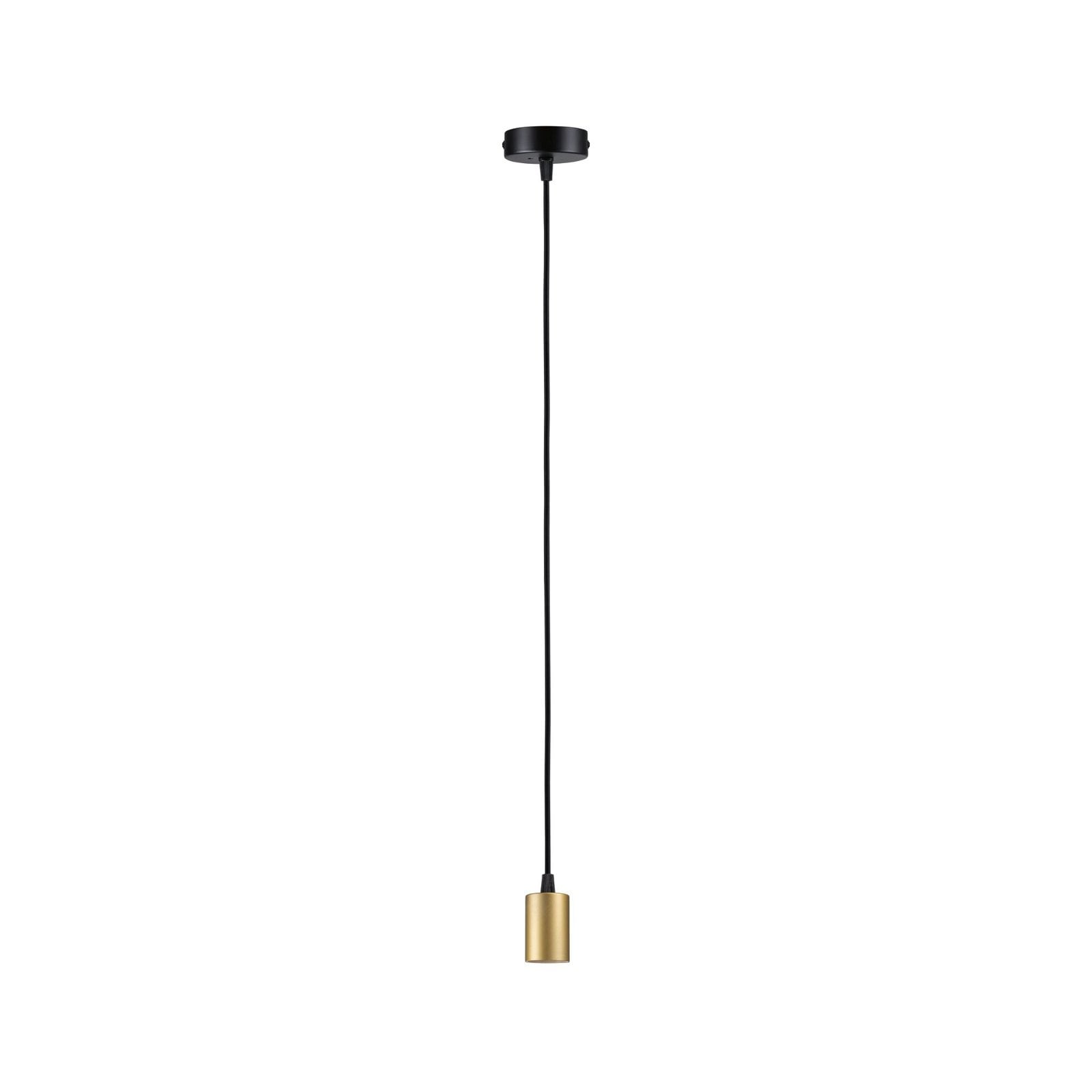 Paulmann Pendelleuchte »Ravi IP44 max 1x60W 230V Metall«, Leuchtmittel E27 | ohne Leuchtmittel, E27