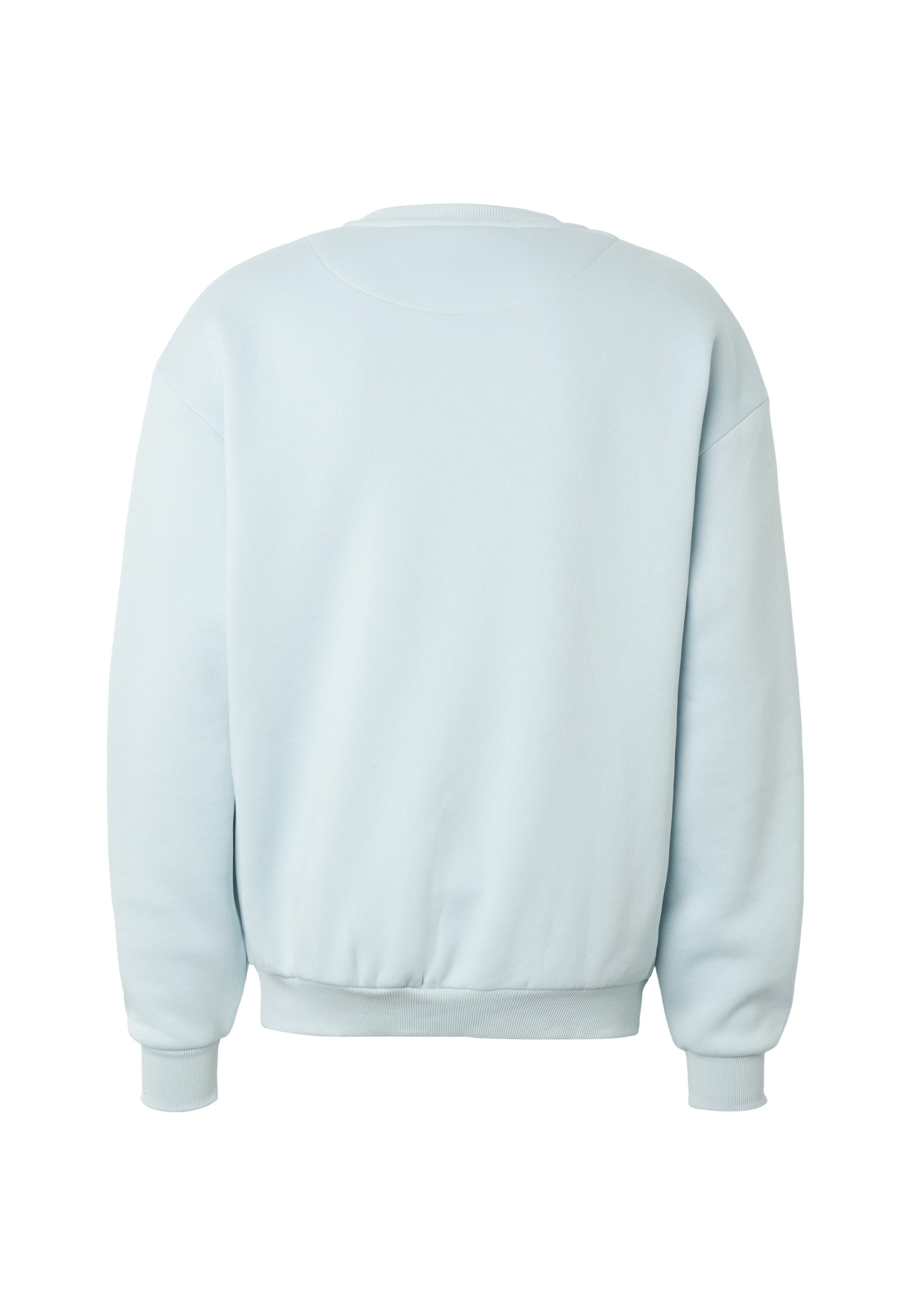 Karl Kani Sweater »Karl Kani Small Signature Essential Os Crewneck«, 1
