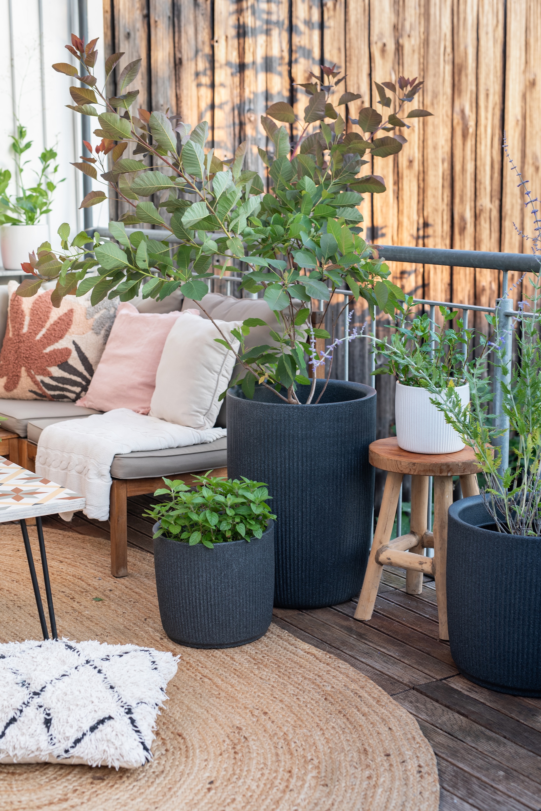 Scheurich Übertopf »40/260 LINETTO HIGH« Hochgefäß/Pflanzgefäß aus Kunststoff, ØxH: 28,5x39,9 cm