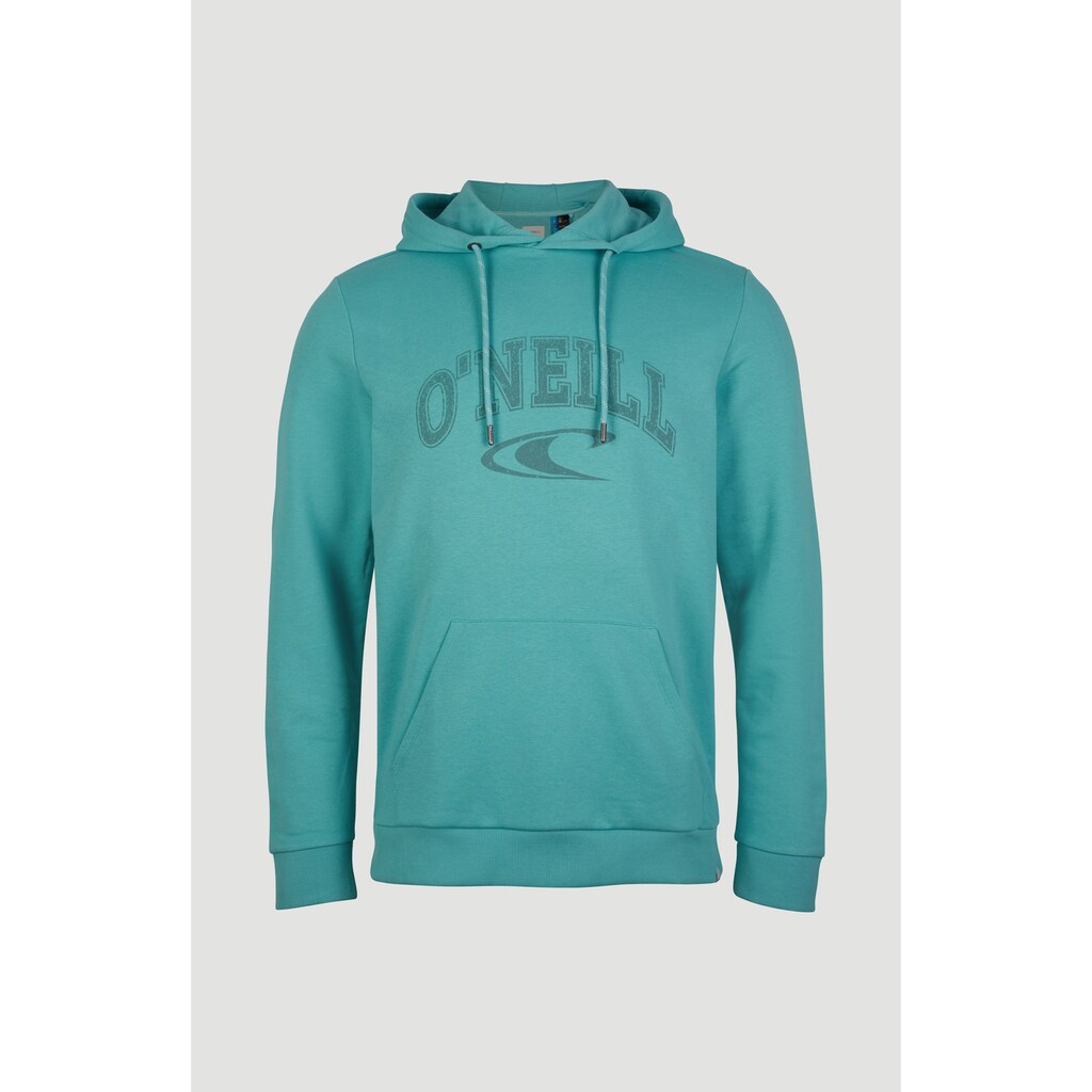 O'Neill Sweatshirt »"State"«