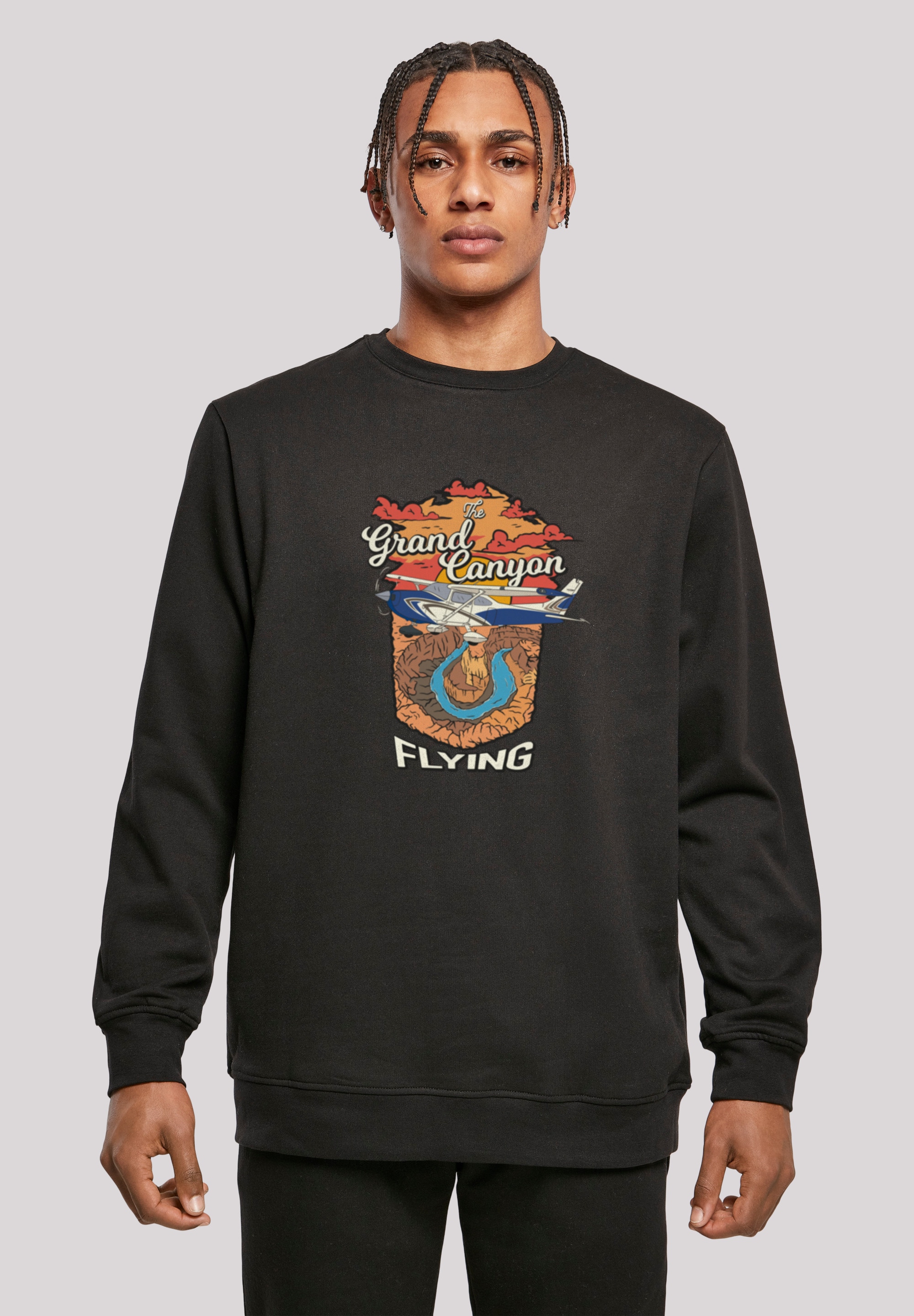 F4NT4STIC Kapuzenpullover "Grand Canyon Flying", Print günstig online kaufen