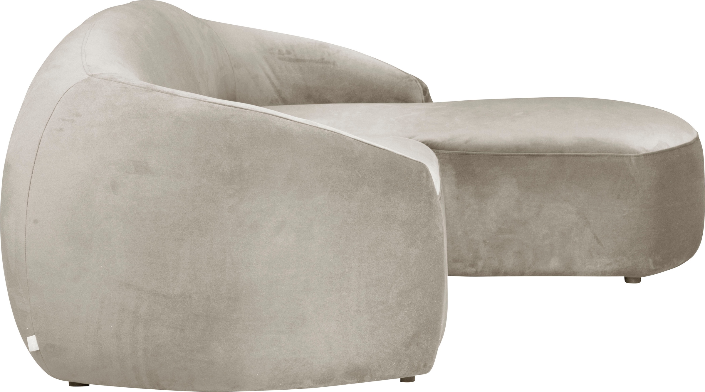 LeGer Home by Lena Gercke Ecksofa »YANI L-Form, Designersofa, organische Form, Maße B/T/H: 255/170/81 cm«, mit Wellenunterfederung, auch in Bouclé, Recamiere rechts/links