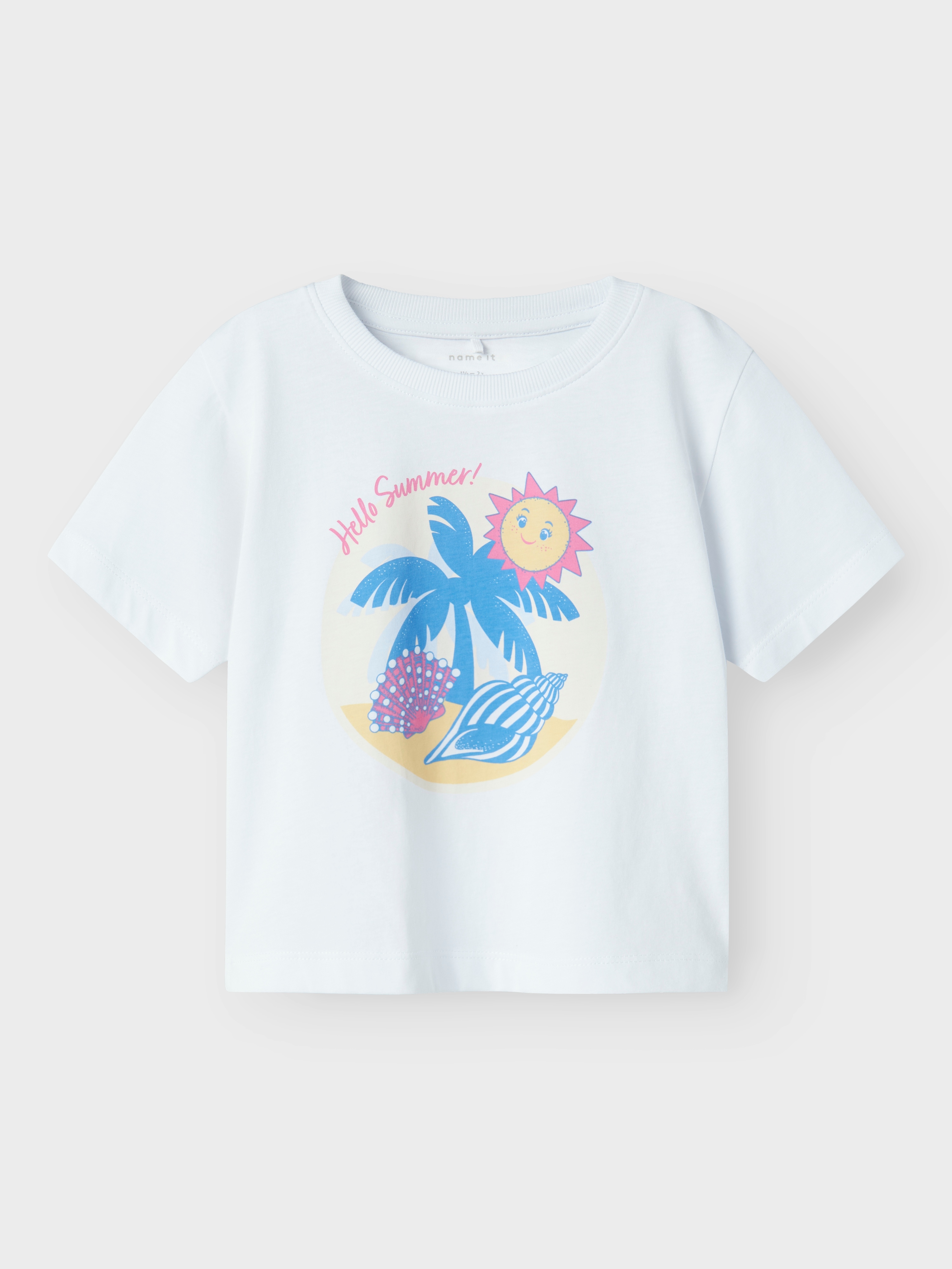 Name It "NMFJASSA SS NREG TOP PB"