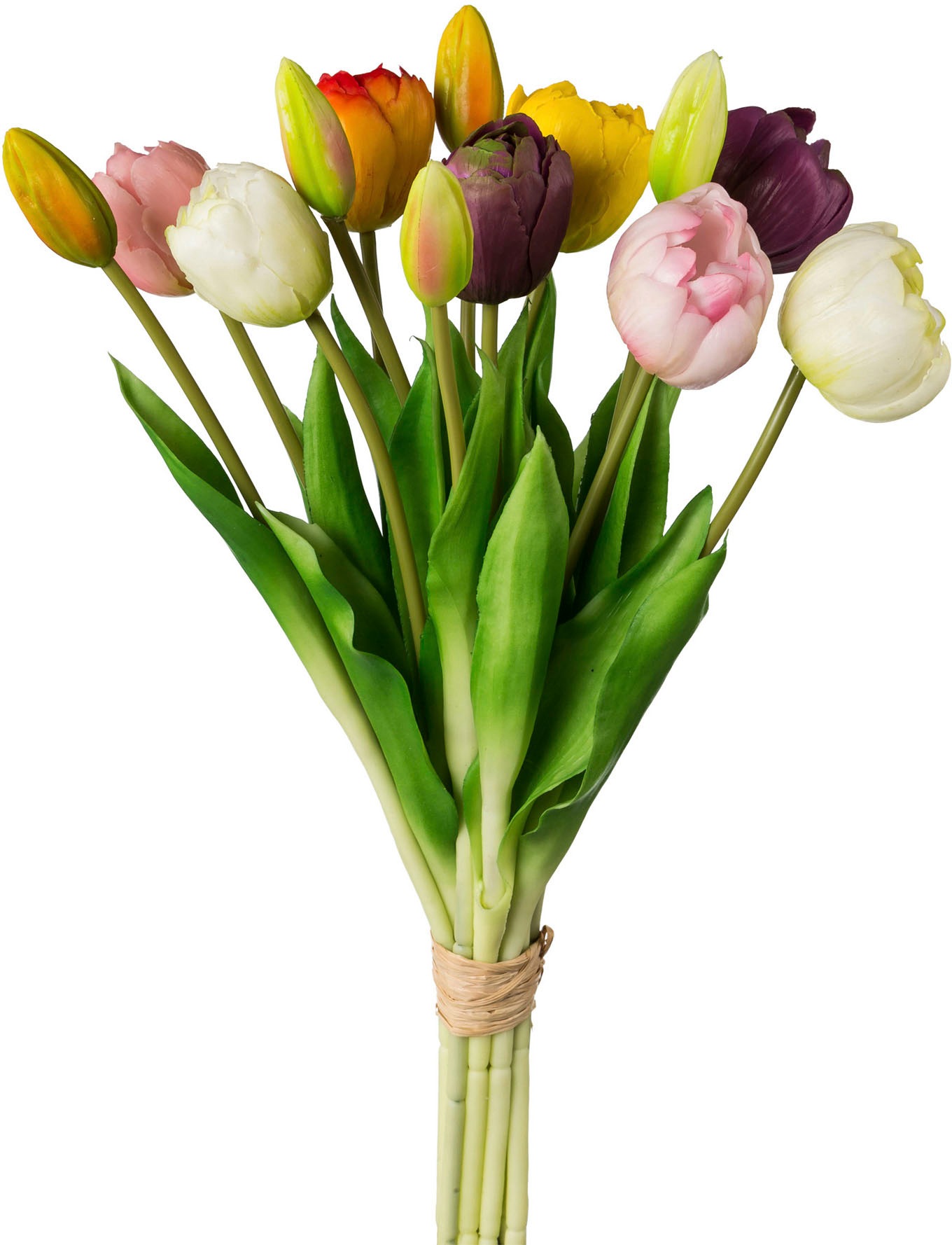 my home Kunsttulpe "Gefüllte Tulpen" günstig online kaufen