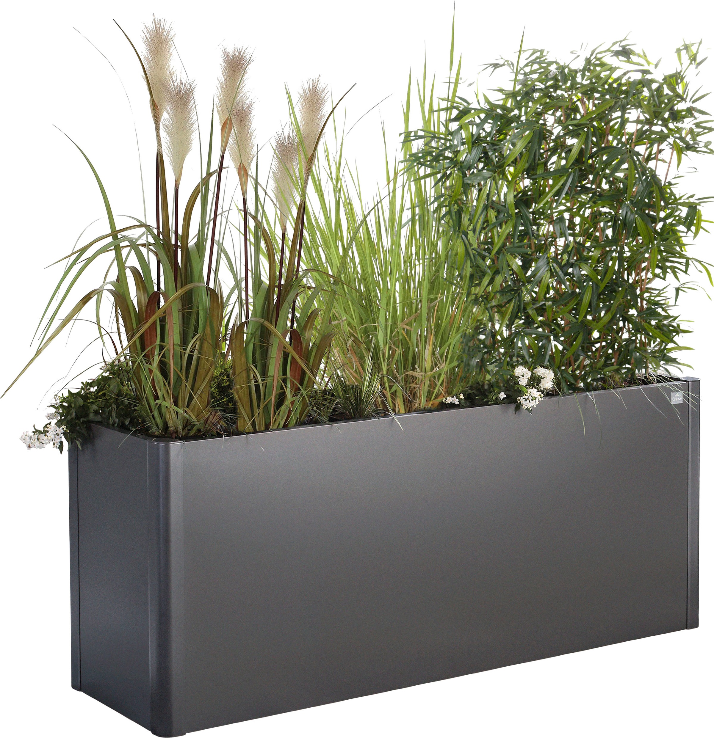 Biohort Hochbeet "BELVEDERE midi 1,5x0,5; verschiedene Farben" 152x53x61 cm günstig online kaufen