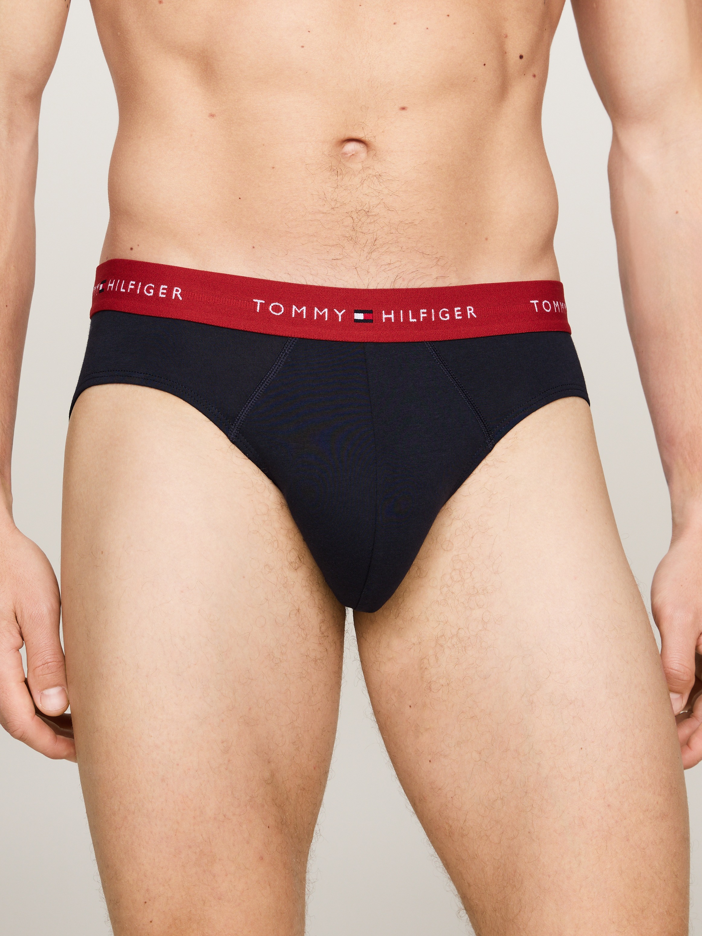 Tommy Hilfiger Underwear Slip »5P BRIEF«, (Packung, 5 St., 5er-Pack), mit Tommy Hilfiger Logo-Elastikbund