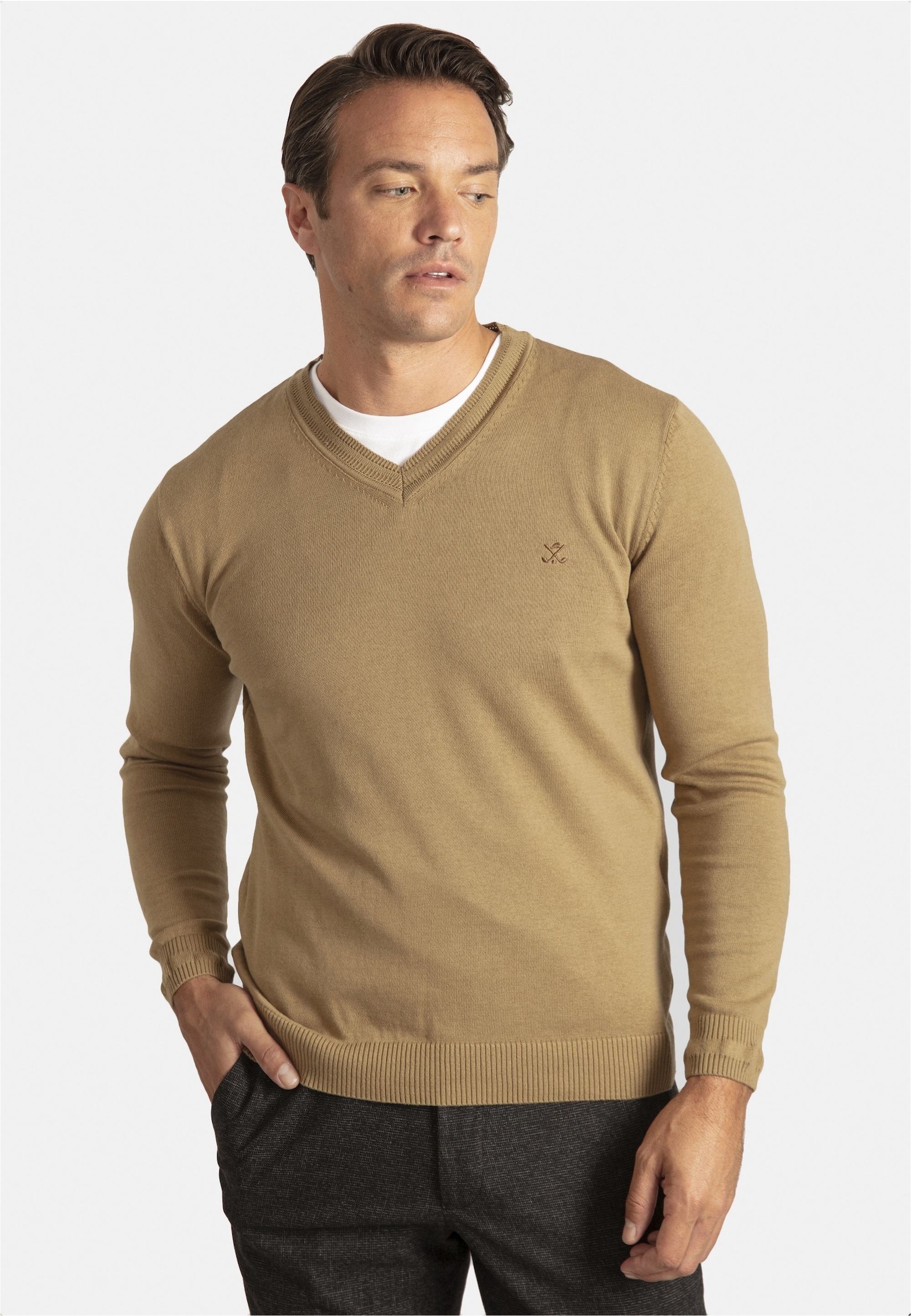 SIR RAYMOND TAILOR Strickpullover »Los Angeles«, (1 tlg.), mit klassischem V-Ausschnitt