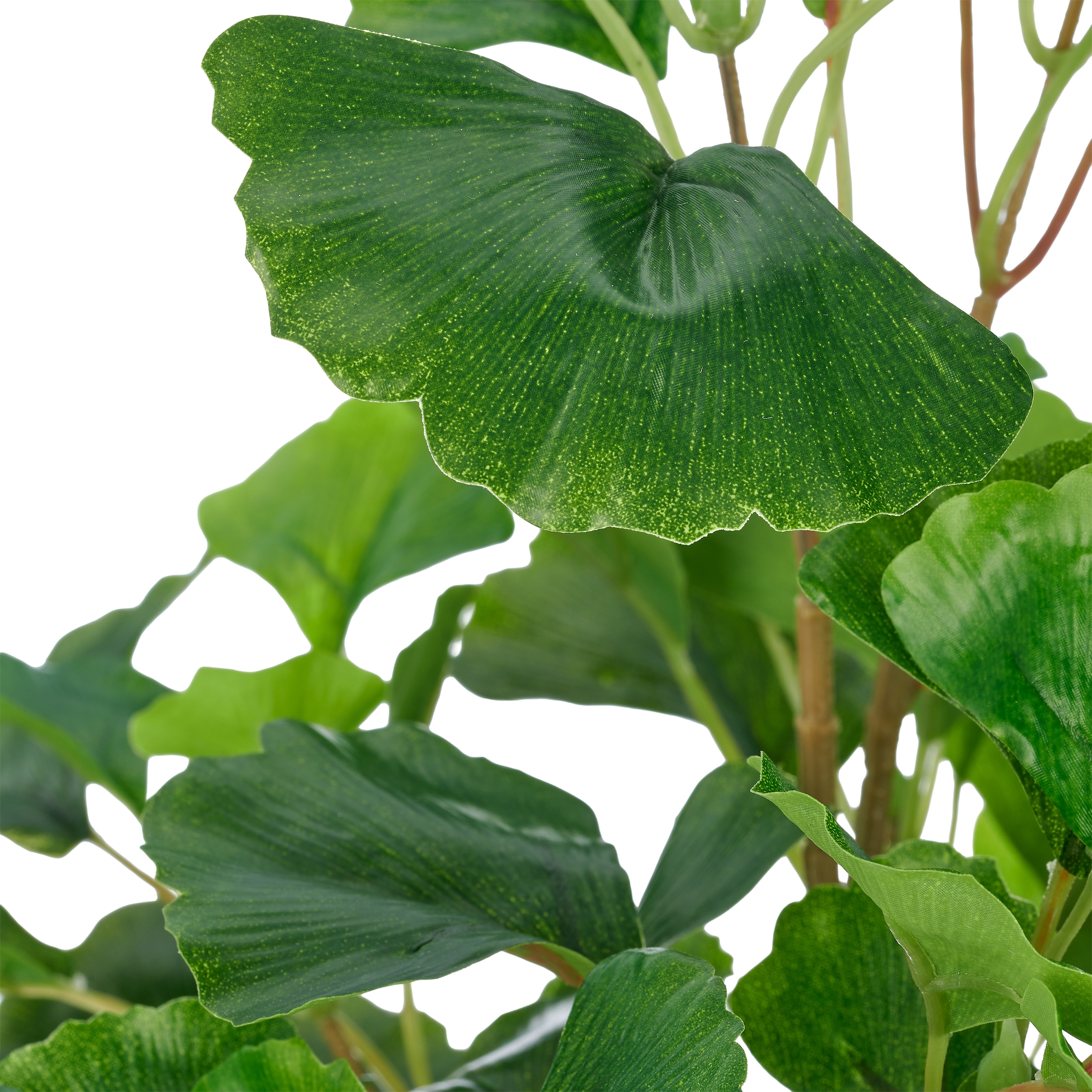 Creativ green Kunstbambus »Gingko biloba« mit naturgetreuem Blattwerk