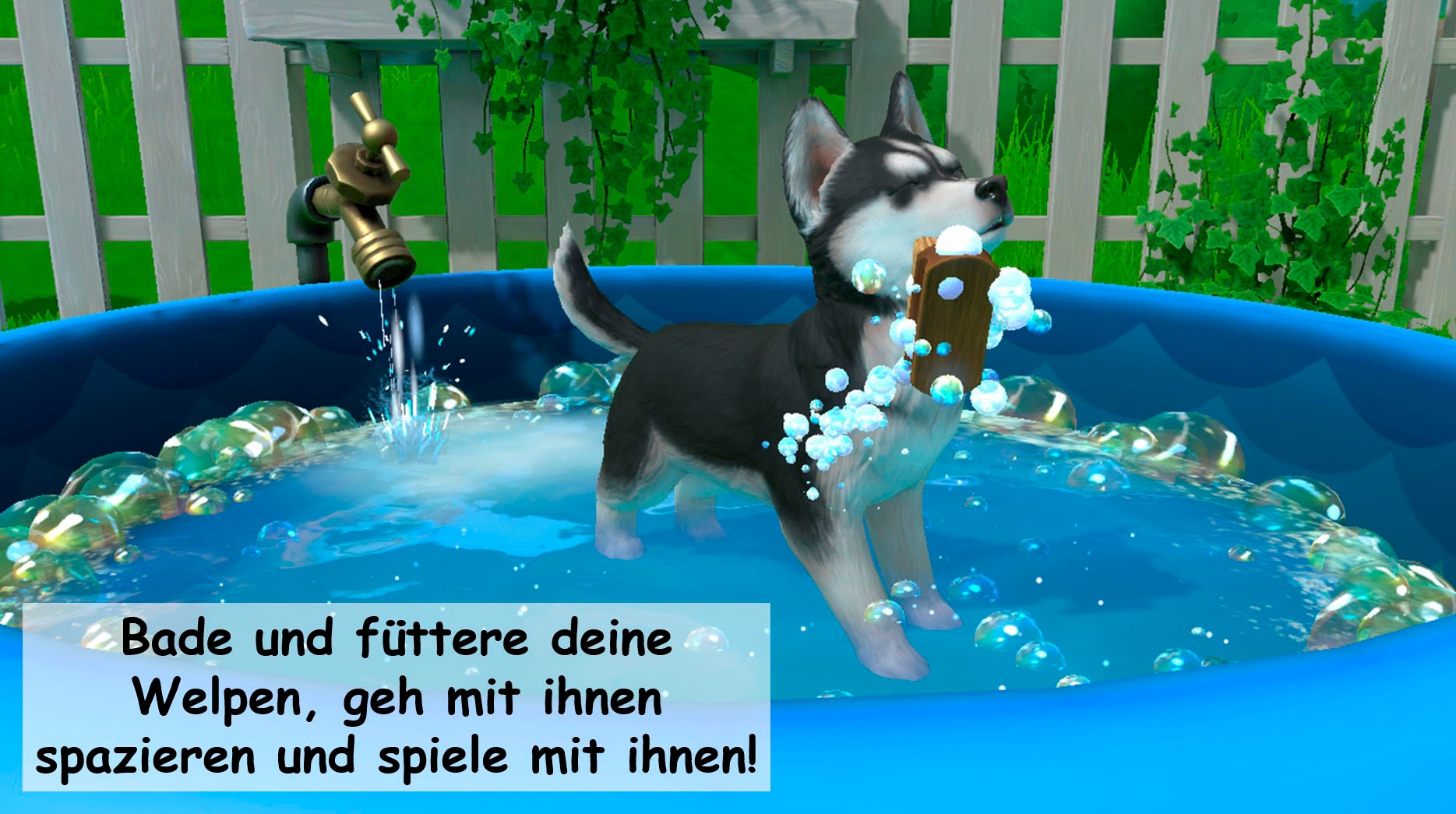 NBG Spielesoftware »Little Friends 2 Puppy Island (Code in a Box) - Nintendo Switch«, Nintendo Switch