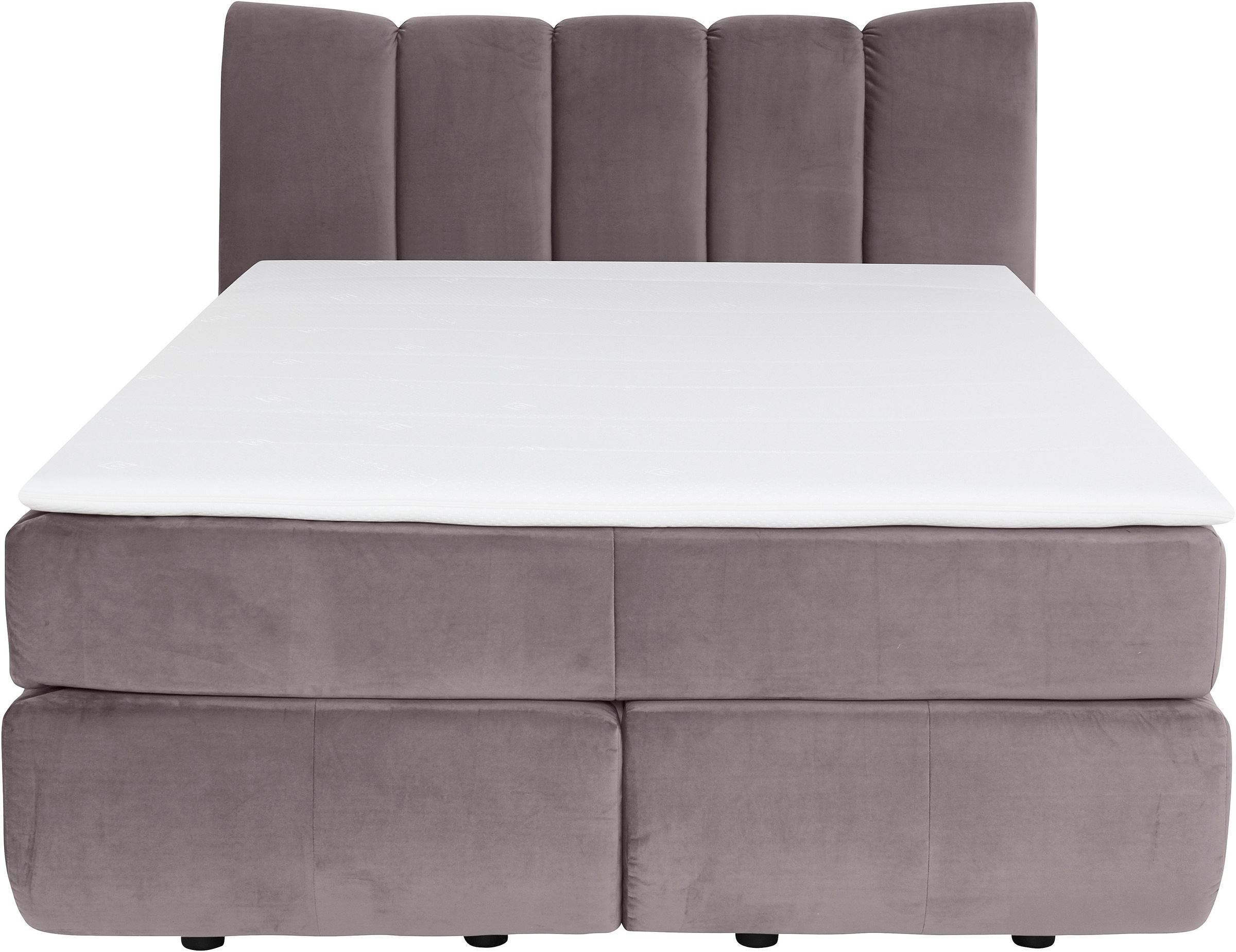 Home affaire Boxspringbett "Océane" Bodenfrei- wirkt freischwebend, verschi günstig online kaufen