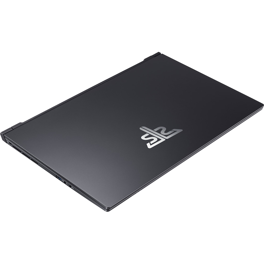 Hyrican Gaming-Notebook »Striker 1673«, 43,94 cm, / 17,3 Zoll, Intel, Core i7, GeForce RTX 3080, 1000 GB SSD