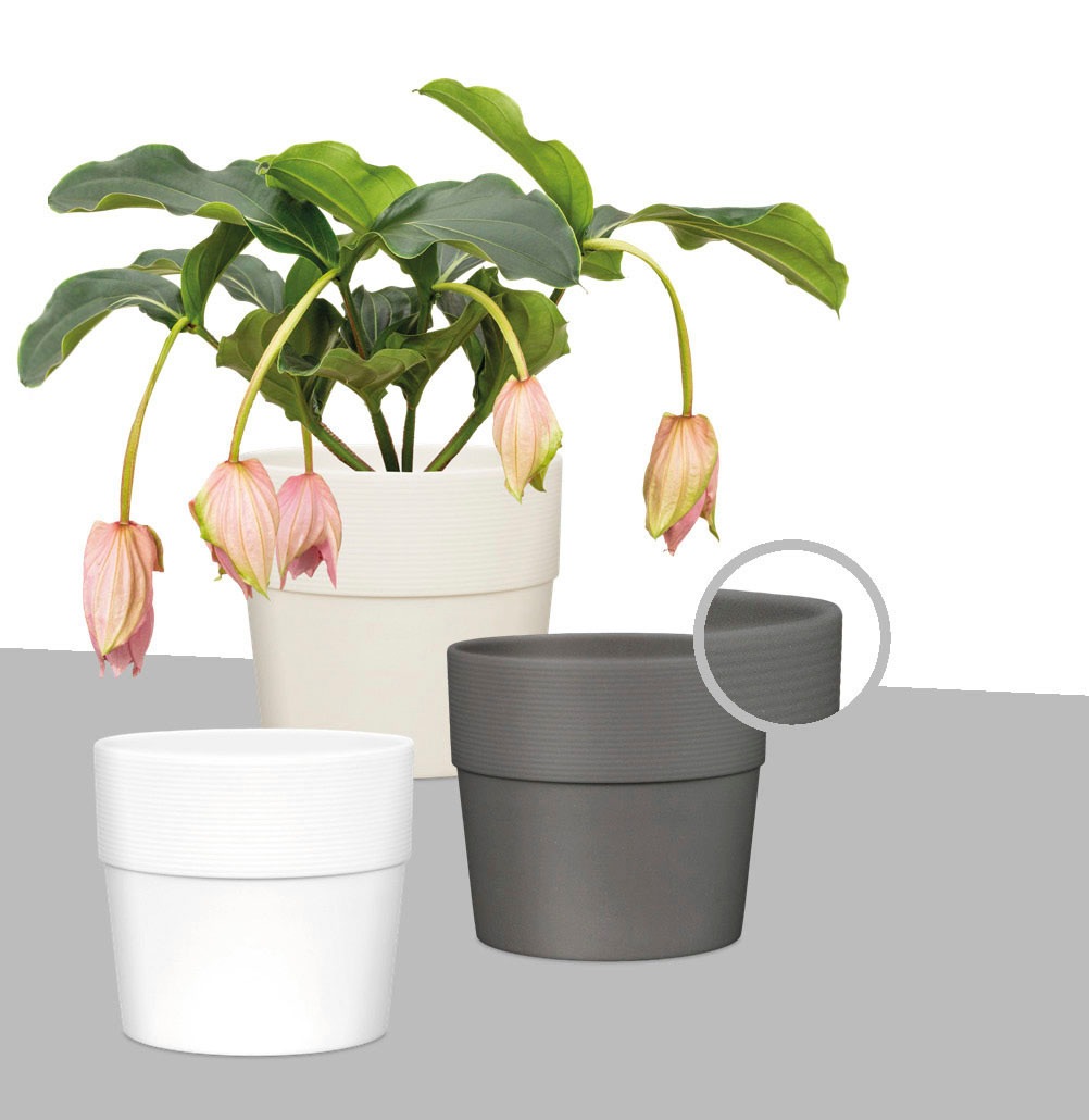 Scheurich Blumentopf »BIANCO 40/224«, ØxH: 38x35,2 cm