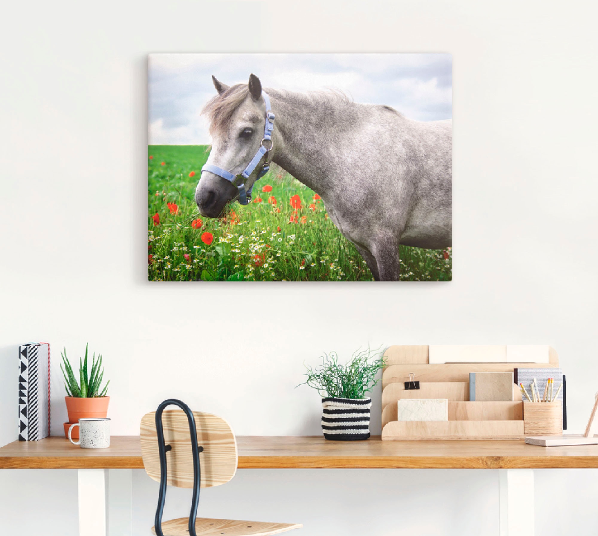 Artland Wandbild »Welshpony«, Haustiere, (1 St.), als Leinwandbild, Wandaufkleber in verschied. Größen