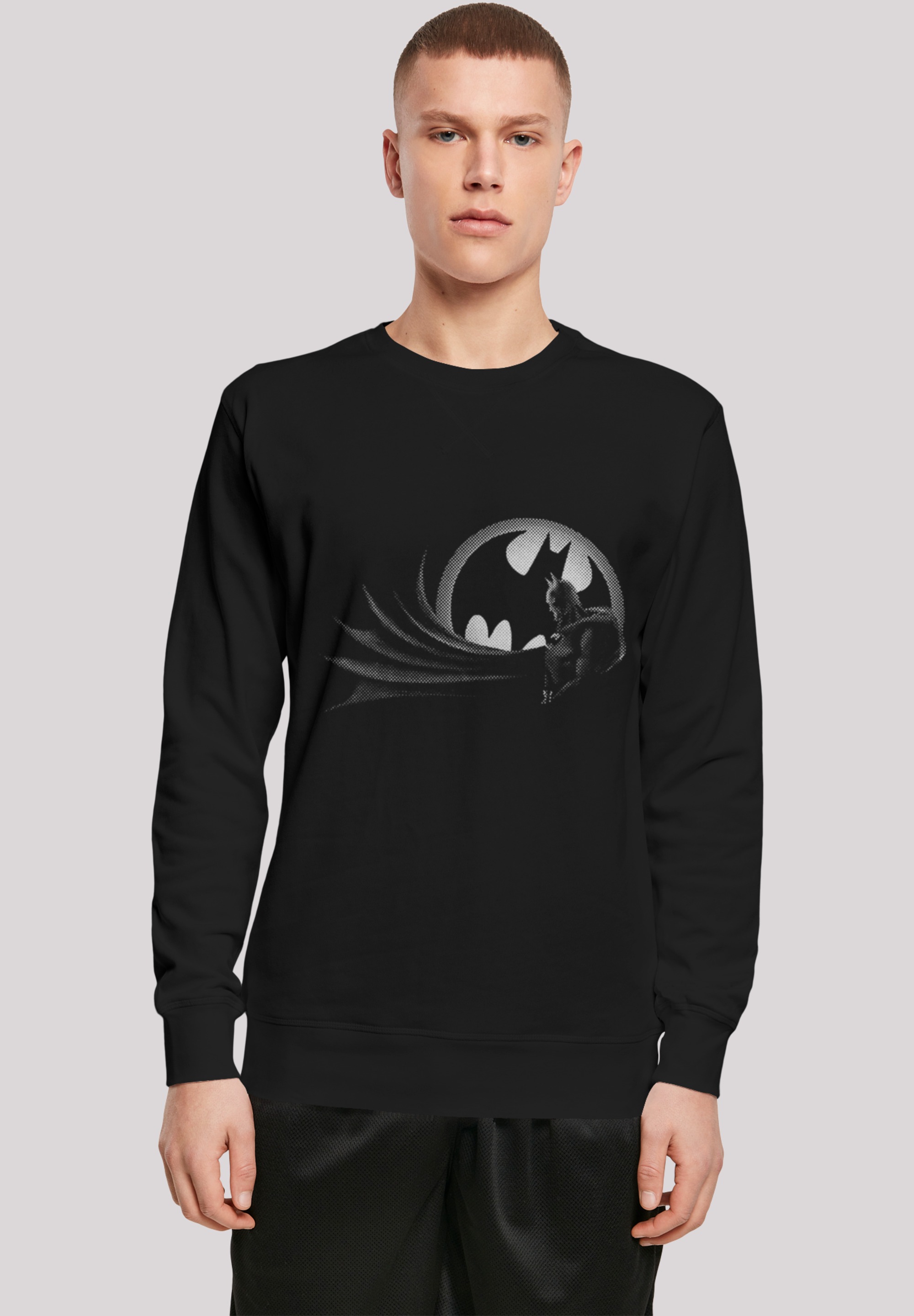 F4NT4STIC Rundhalspullover »F4NT4STIC Herren Batman Spot with Light Crew sweatshirt«, (1 tlg.)