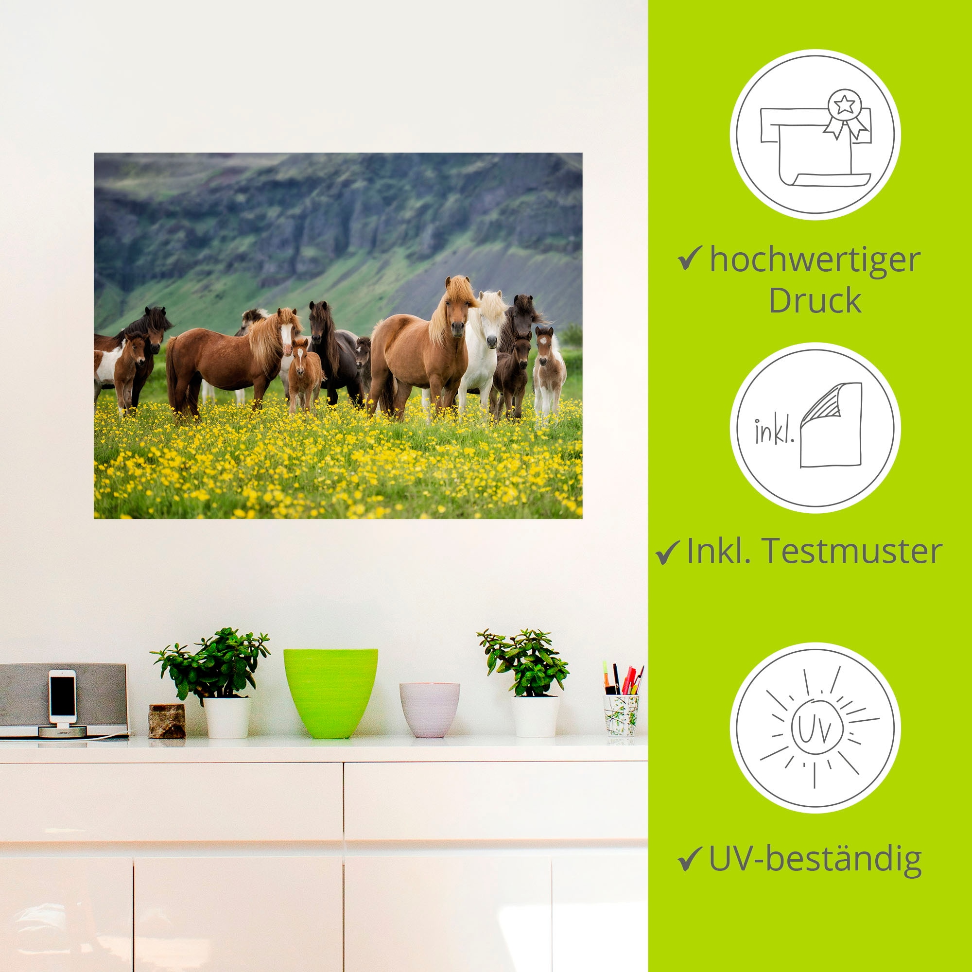Artland Wandbild »Isländische Pferde VII«, Haustiere, (1 St.), als Leinwandbild, Poster, Wandaufkleber in verschied. Größen