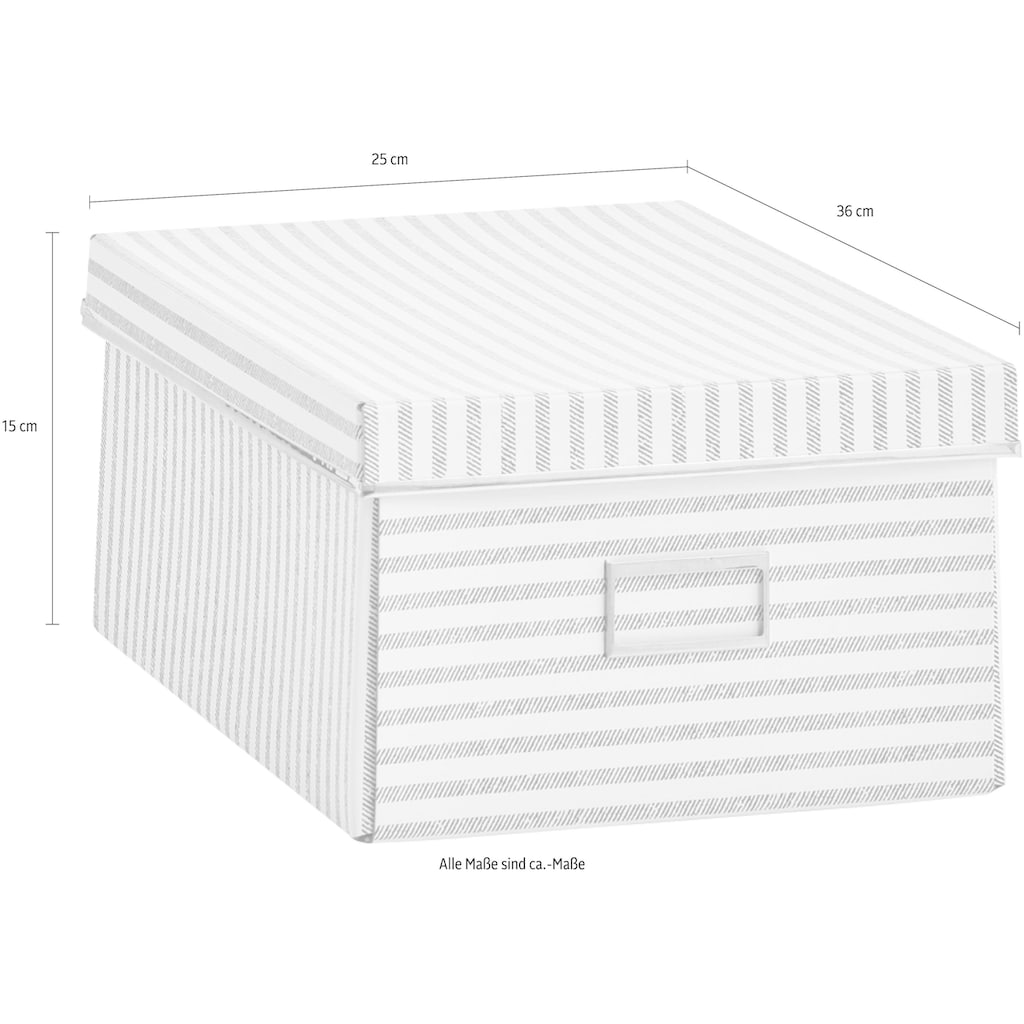 Zeller Present Aufbewahrungsbox »Stripes«