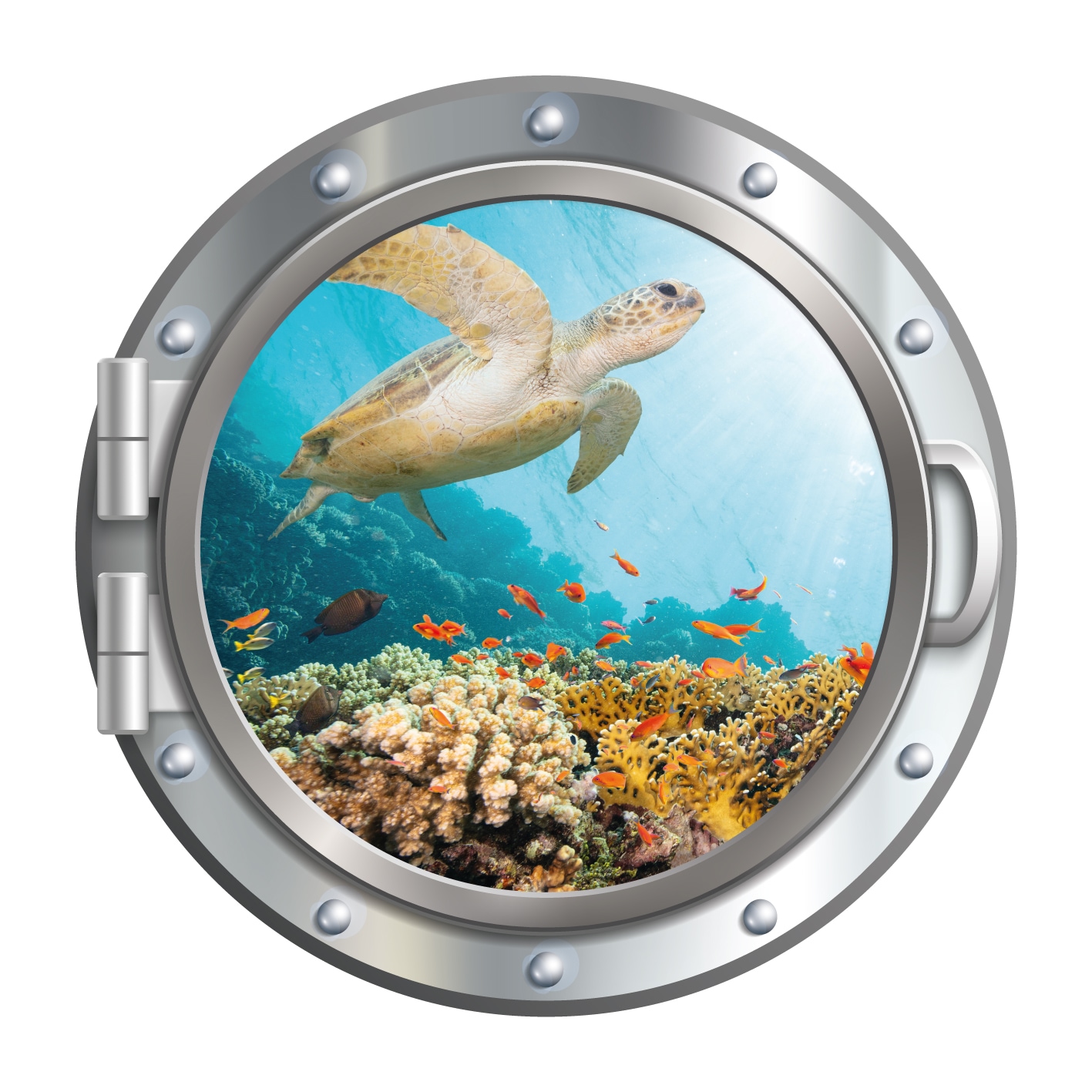 queence Wandsticker »3D Bullauge Illusion Unterwasserwelt Schildkröte 40x40 cm« Selbstklebender Wanddurchbruch Unterwasser