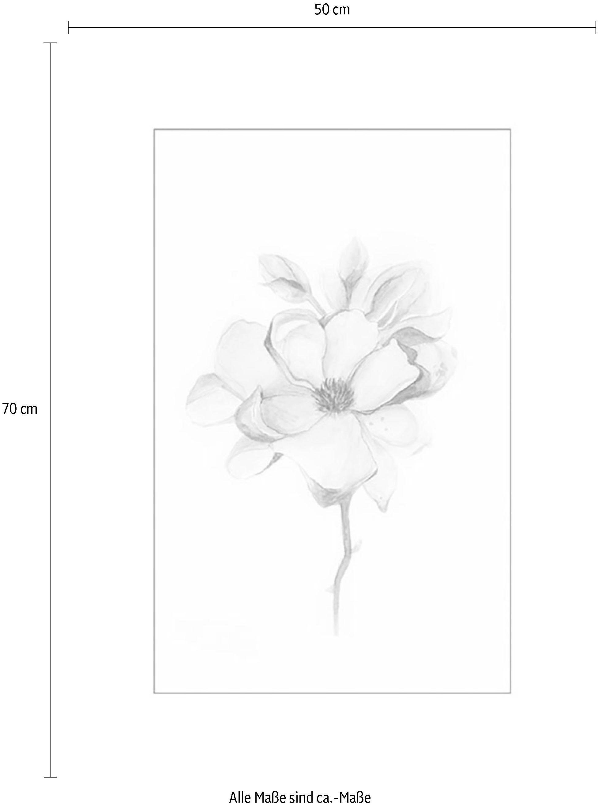 Komar Poster »Magnolia Blossom«, Blumen, Schlafzimmer, (1 St.), | BAUR Wohnzimmer Kinderzimmer