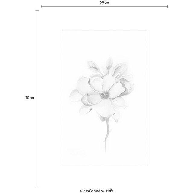 Komar Poster »Magnolia Blossom«, Blumen, (1 St.), Kinderzimmer, Schlafzimmer,  Wohnzimmer | BAUR