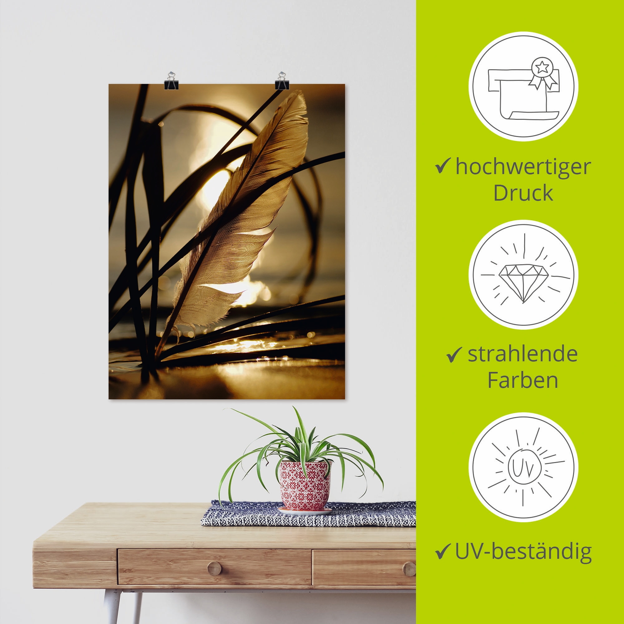 Artland Wandbild »Feder im Abendlicht«, Gräser, (1 St.), als Leinwandbild, Poster, Wandaufkleber in verschied. Größen