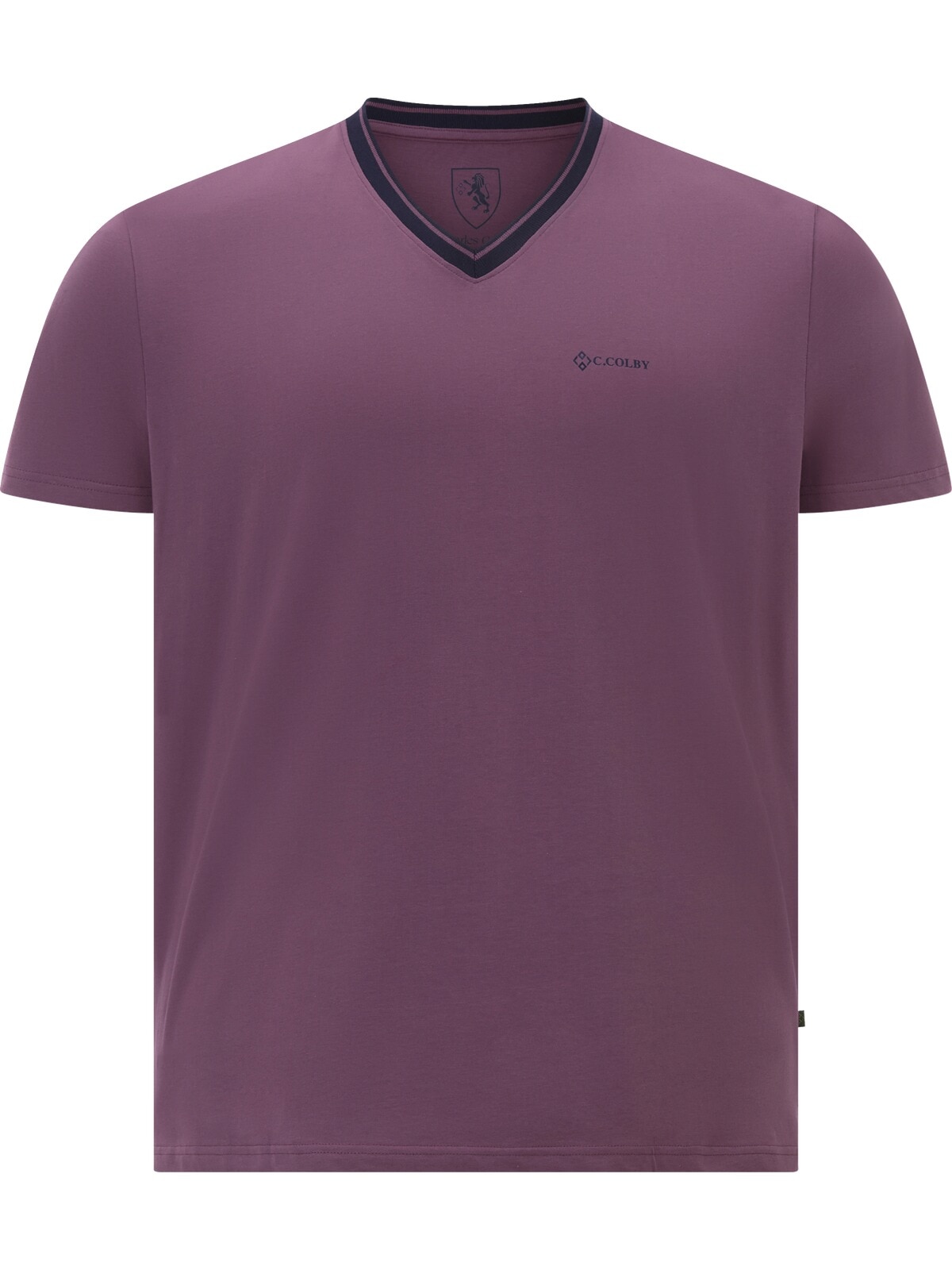Charles Colby T-Shirt »Doppelpack T-Shirt EARL EDELEY«, (2 tlg.)
