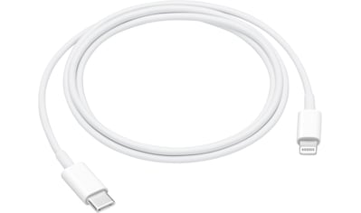 USB-Kabel »USB-C to Lightning Cable (1m)«, Lightning-USB-C, 100 cm