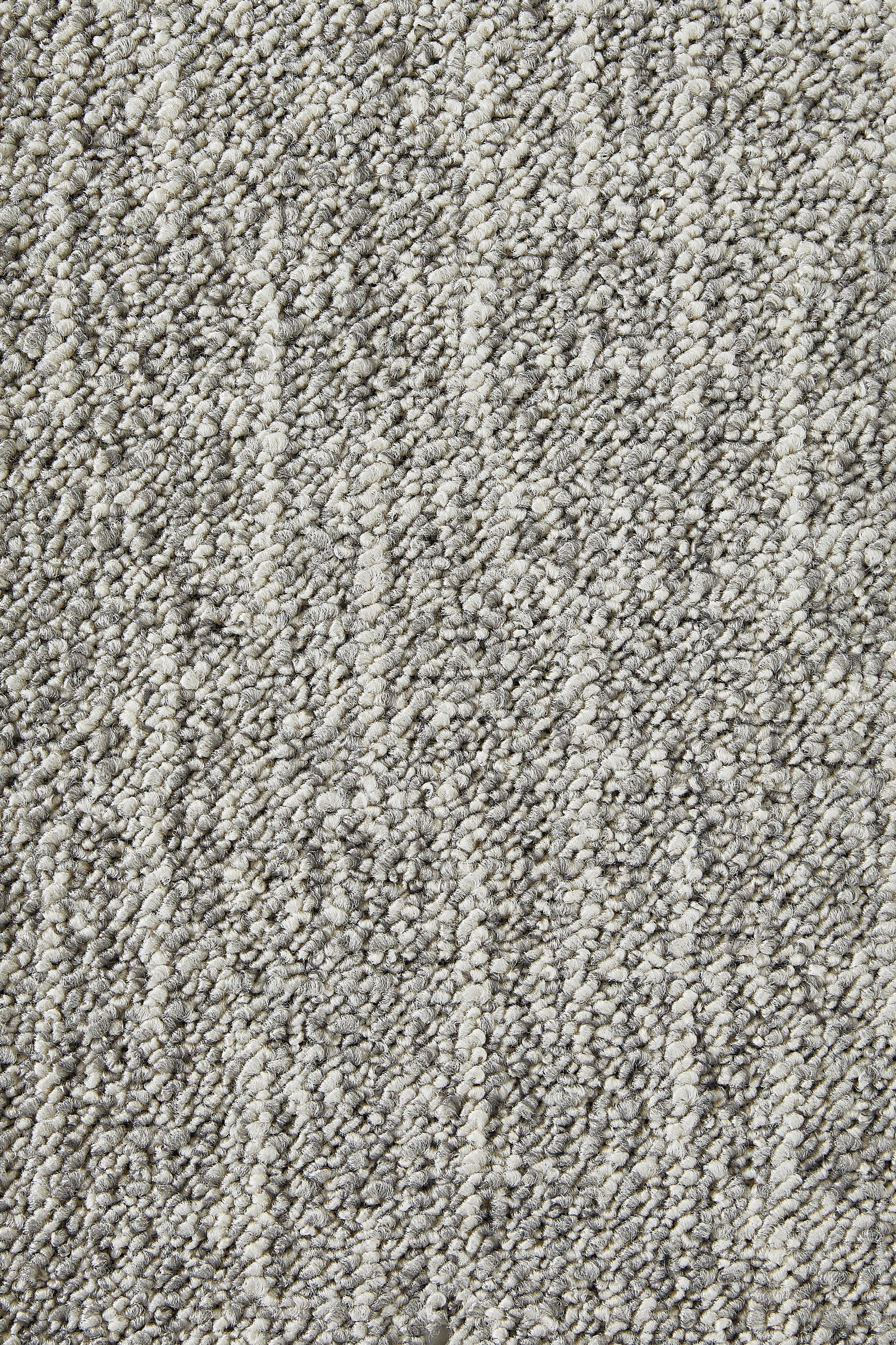 my home Teppichboden »Jamie, melierte Schlinge, Made in Netherlands«, rechteckig, 6 mm Höhe, Breite 400 cm, strapazierfähig, pflegeleicht, allergikerfreundlich