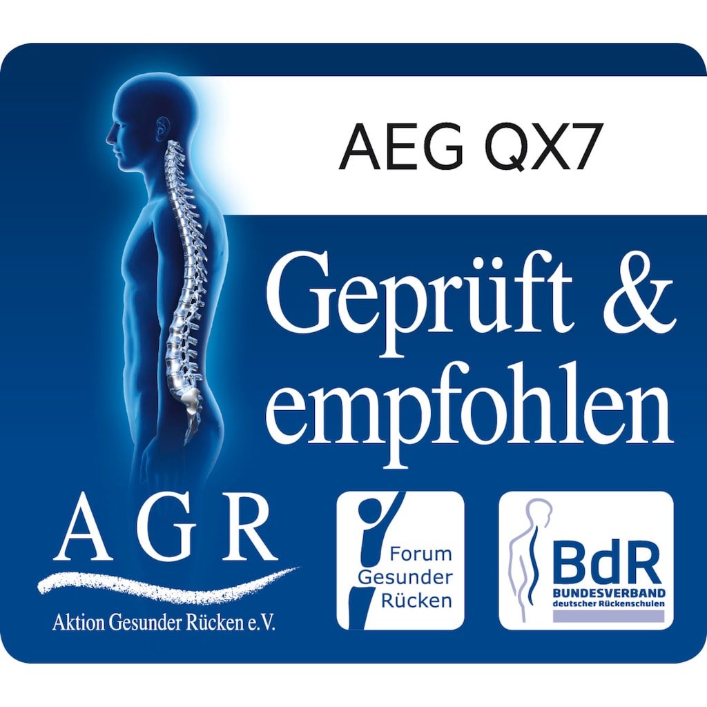 AEG Akku-Hand-und Stielstaubsauger »QX8-2-ANIM«