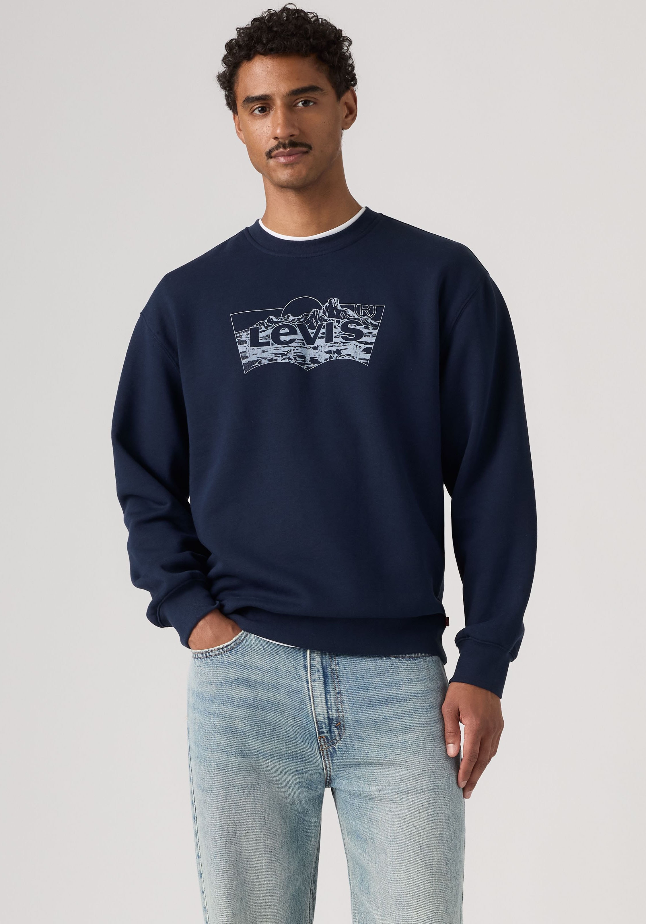 Levis Sweatshirt "RELAXD GRAPHIC CREW NEUTRALS"