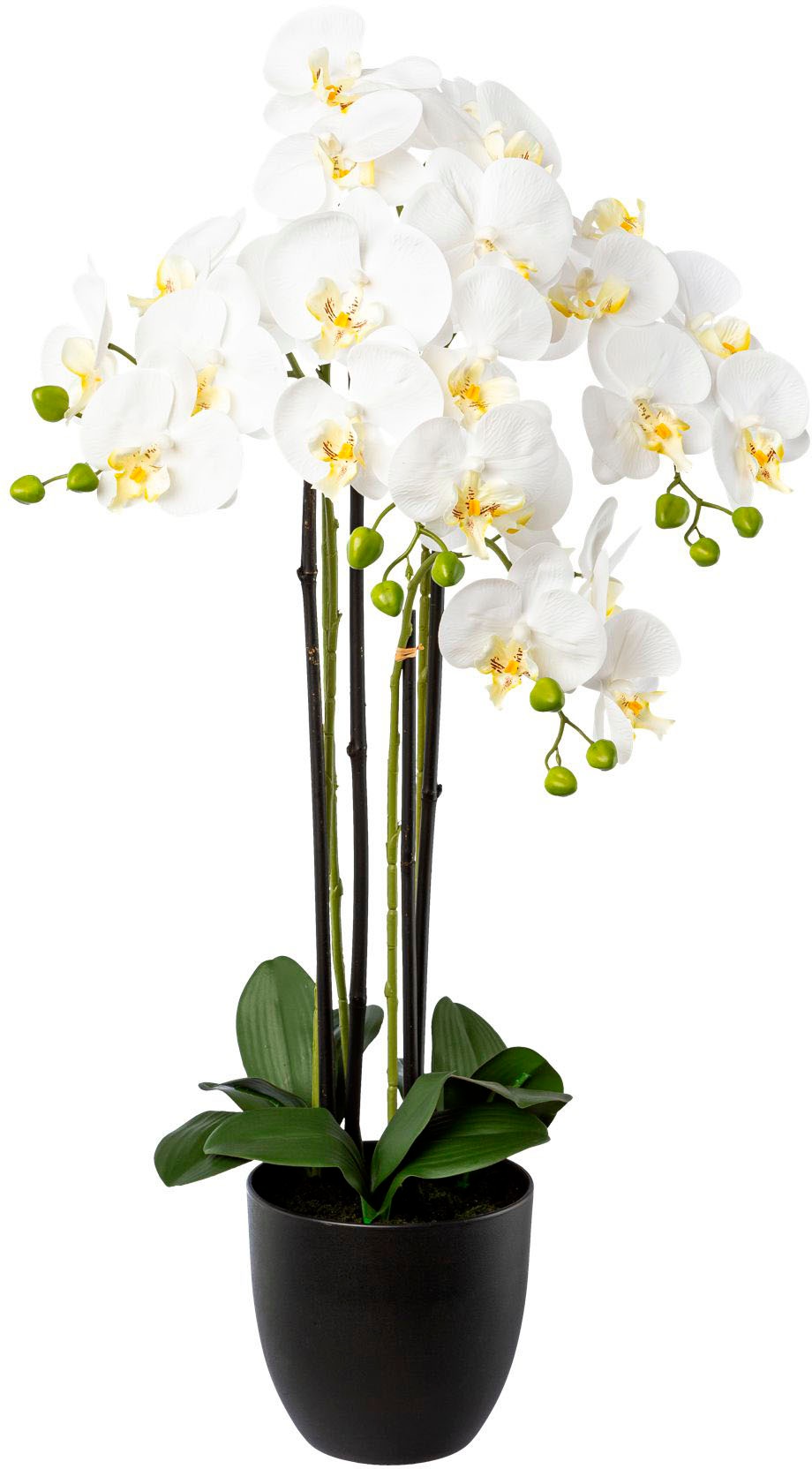 Creativ green Kunstorchidee "Phalaenopsis im Resintopf", mit Real-Touch-Blüten