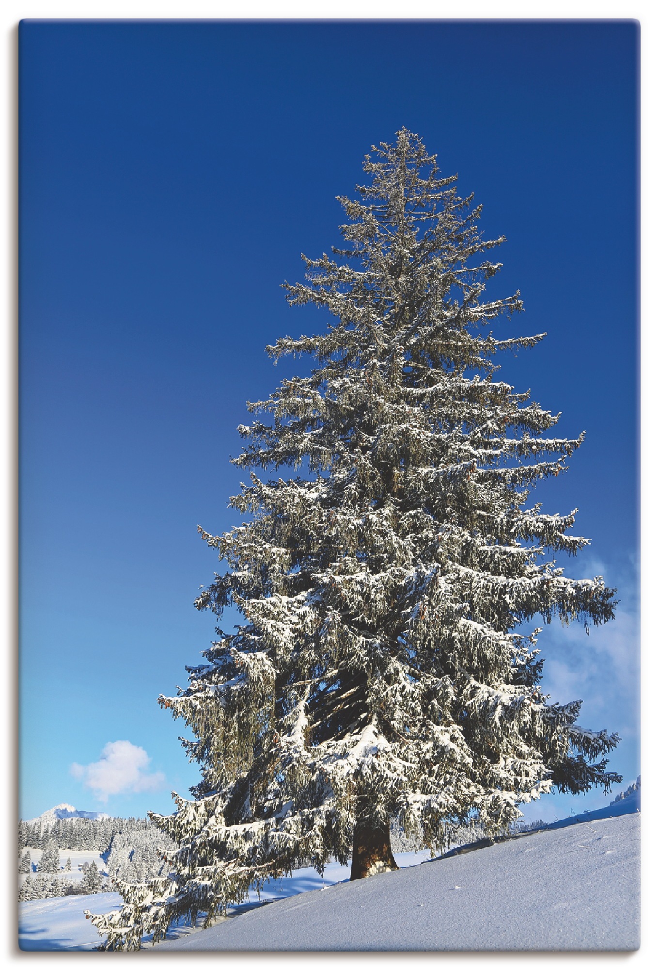 Artland Wandbild »Winterlandschaft im Allgäu«, Bäume, (1 St.), als Alubild, Leinwandbild, Wandaufkleber oder Poster in versch. Größen
