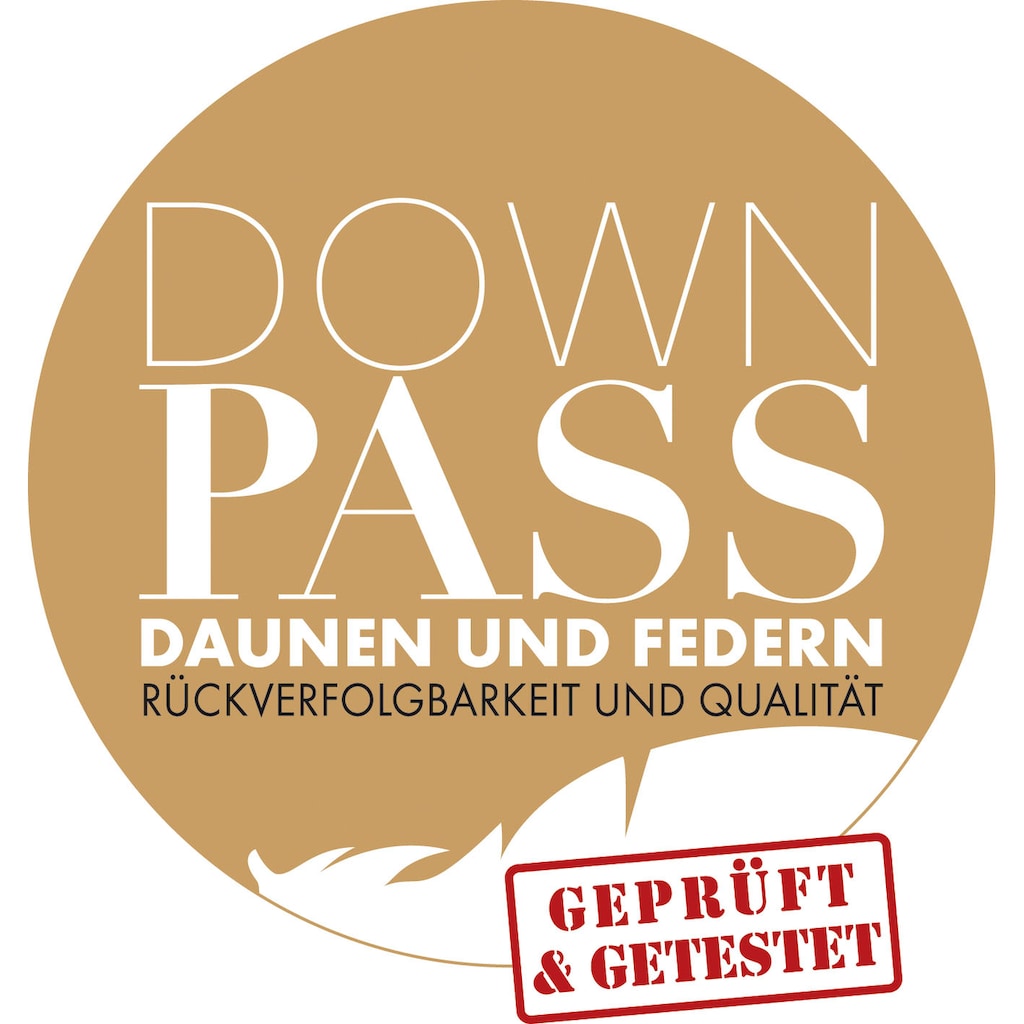 Haeussling 3-Kammer-Kopfkissen »Kuscheltraum, Kissen mit Hausstaub- & Milbenbarriere«, Füllung: Außenkammern mit 60% Daunen, 40% Federn, Bezug: 100% Baumwolle, (1 St.), Kopfkissen 40x80 cm, 80x80cm, Made in Germany