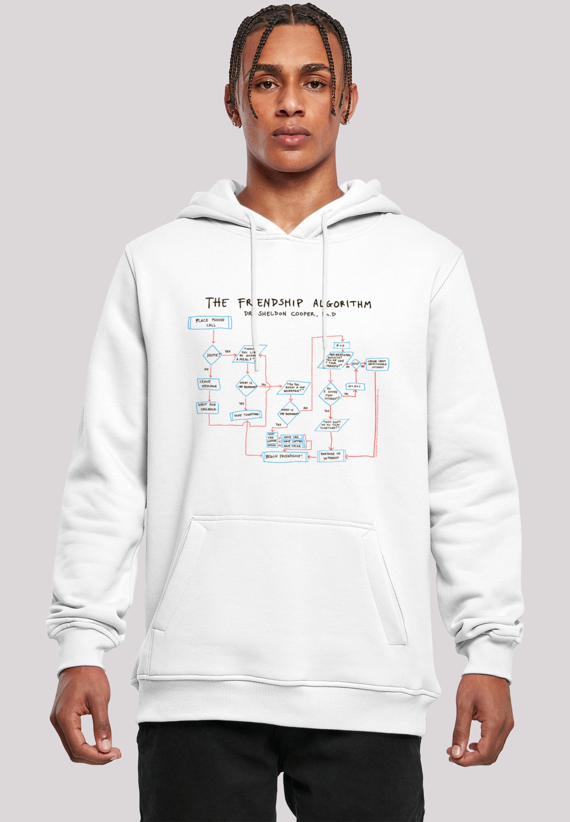 F4NT4STIC Sweatshirt "Big Bang Theory Theory Friendship Algorithm", Herren, günstig online kaufen