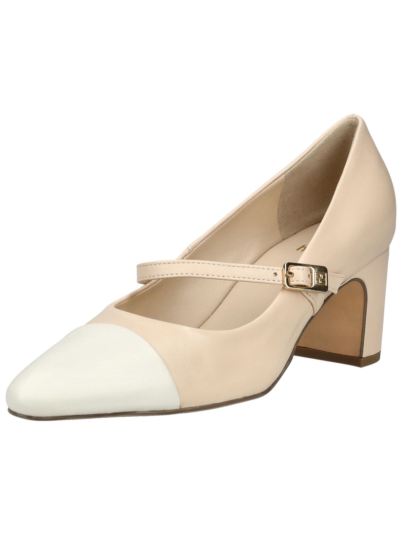 Högl Pumps "Högl Pumps Glattleder" günstig online kaufen