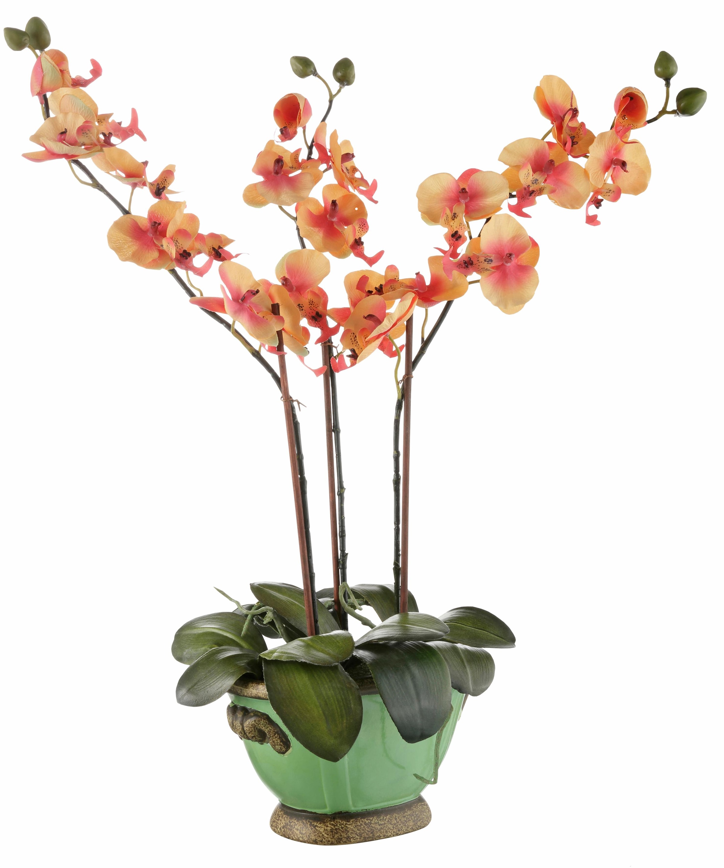 I.GE.A. Online-Shop ▷ Pflanzen, Keramik Blumen | BAUR & Textile