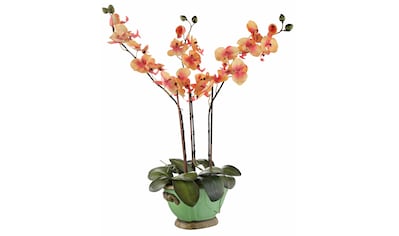 Kunstpflanze »Orchidee«