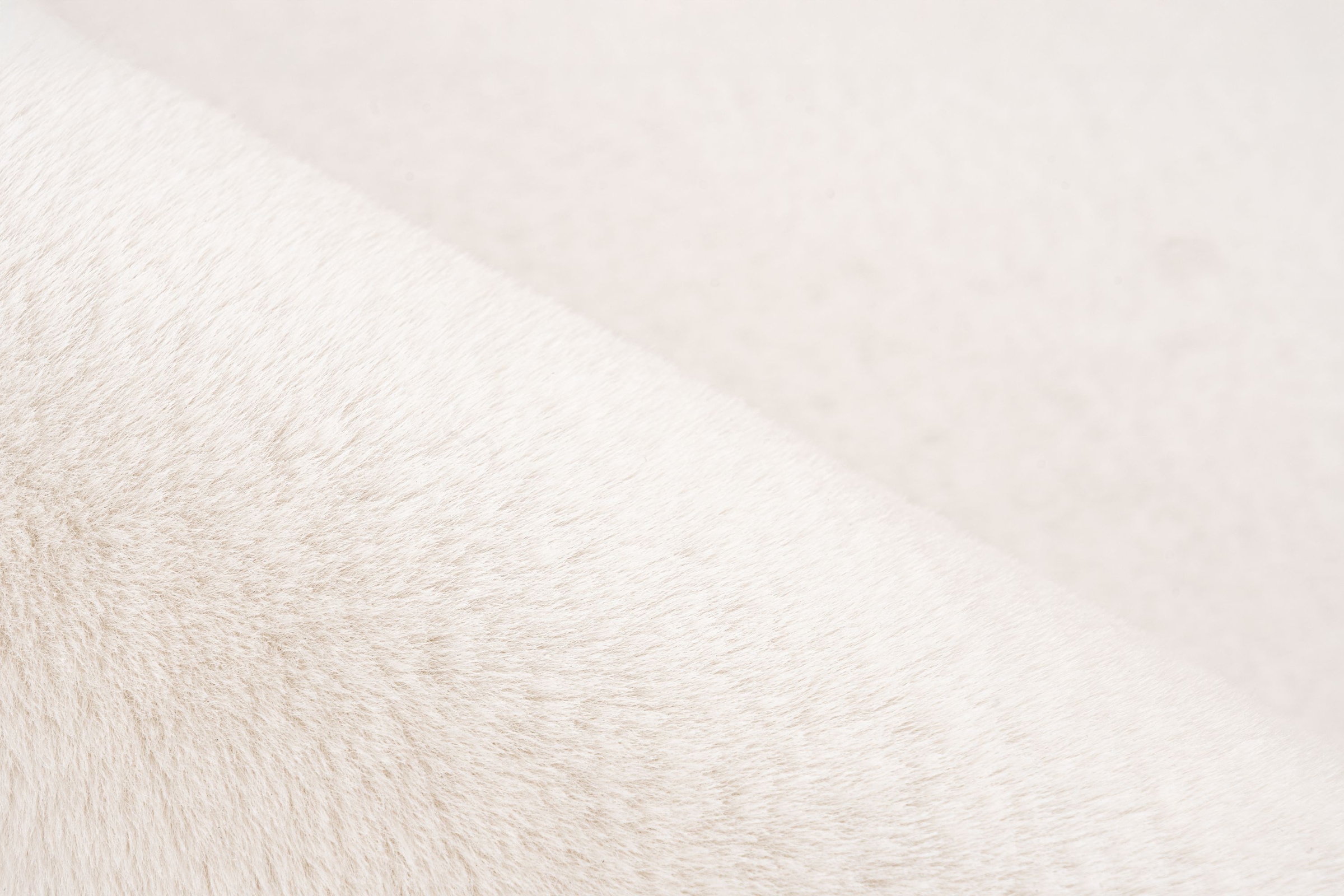 Kayoom Hochflor-Teppich »Emperor 525« rechteckig 23 mm Höhe weicher Hochflor, Fell Haptik, Wohnzimmer