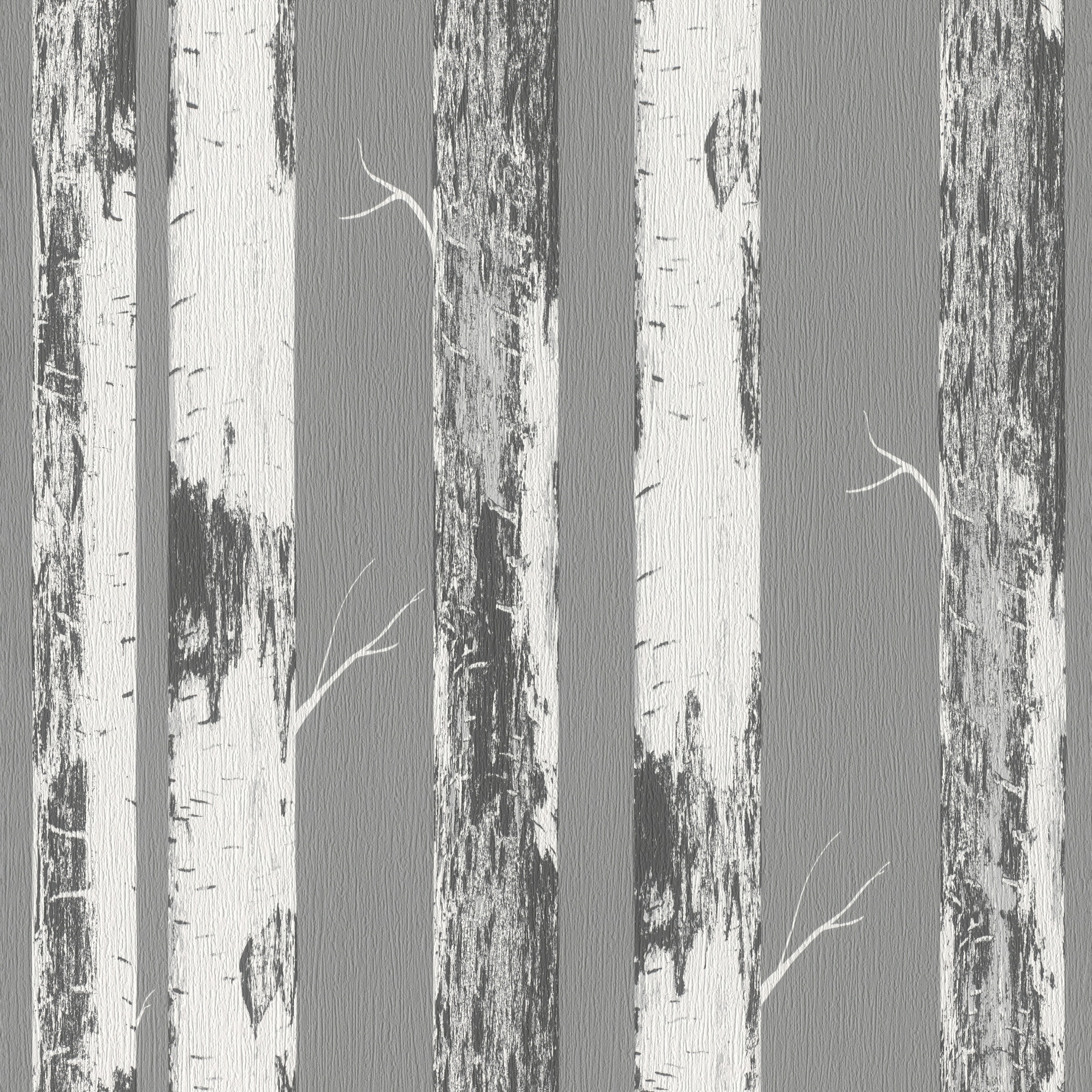 Rasch Papiertapete »mit Birkenstämmen«, Holz, Birkenwald