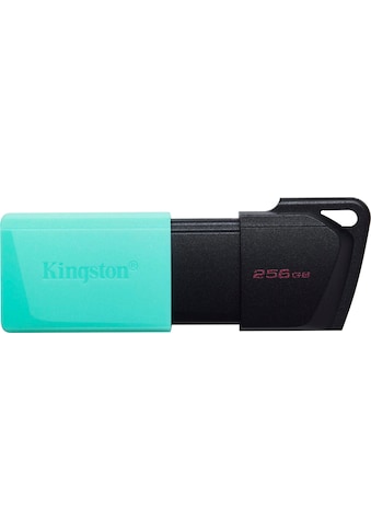 Kingston USB-Stick »DATATRAVELER® EXODIA™ M 256...