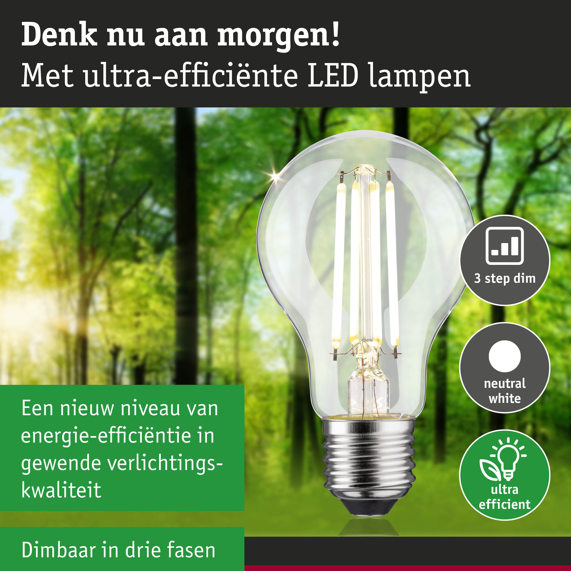 Paulmann LED-Leuchtmittel »Eco-Line Filament 230V LED Birne E27 806lm 4,3W 4000K dimmbar Klar«, E27, 1 St., Neutralweiß