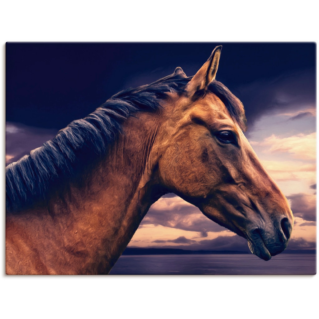 Artland Wandbild »Pferd am Meer«, Haustiere, (1 St.)